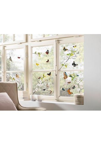 Komar Fensterbild »Schmetterlinge«, 31 x 31 cm, selbsthaftend kaufen