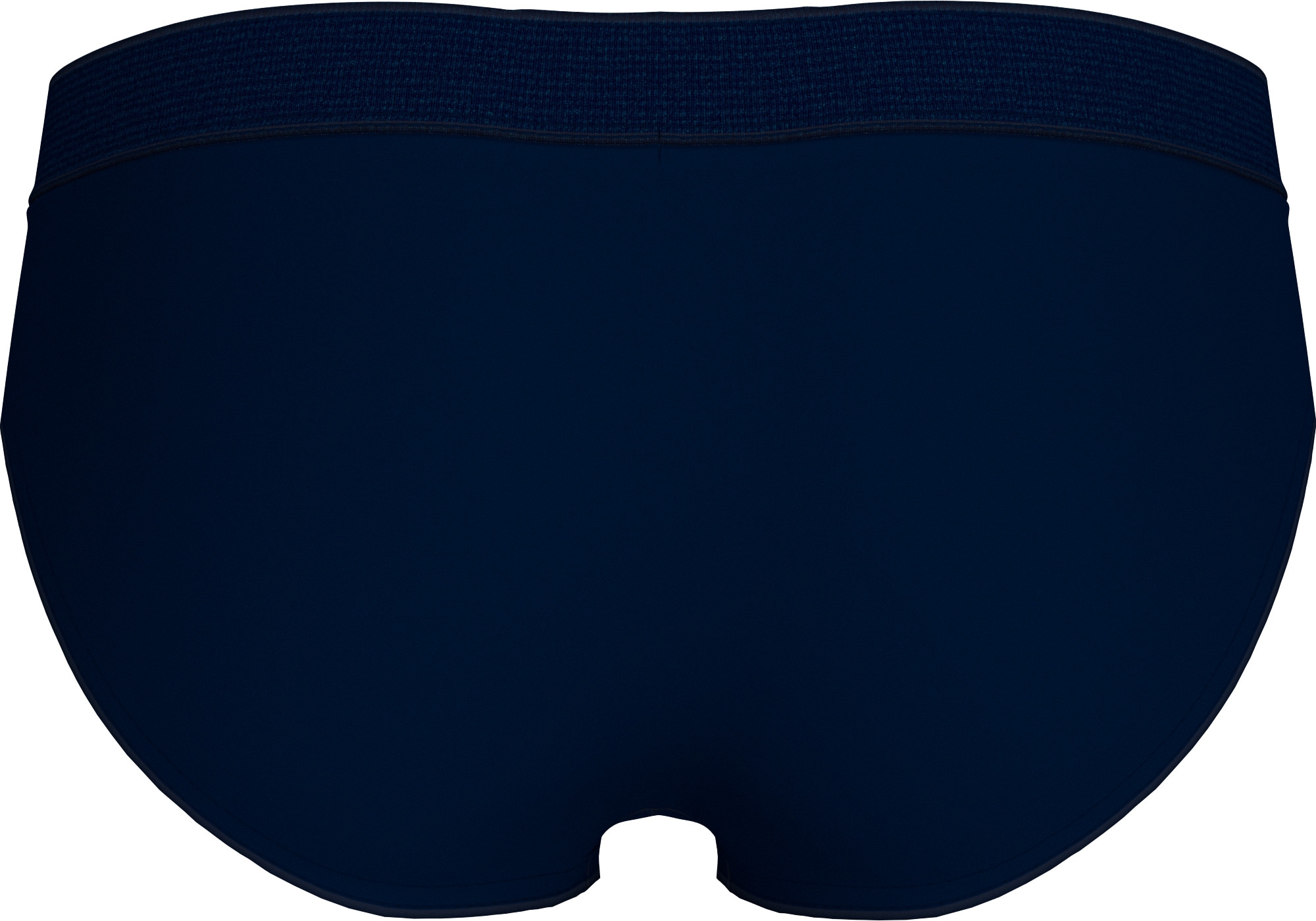 Tommy Hilfiger Swimwear Badeslip »BRIEF«, mit Logoschriftzug