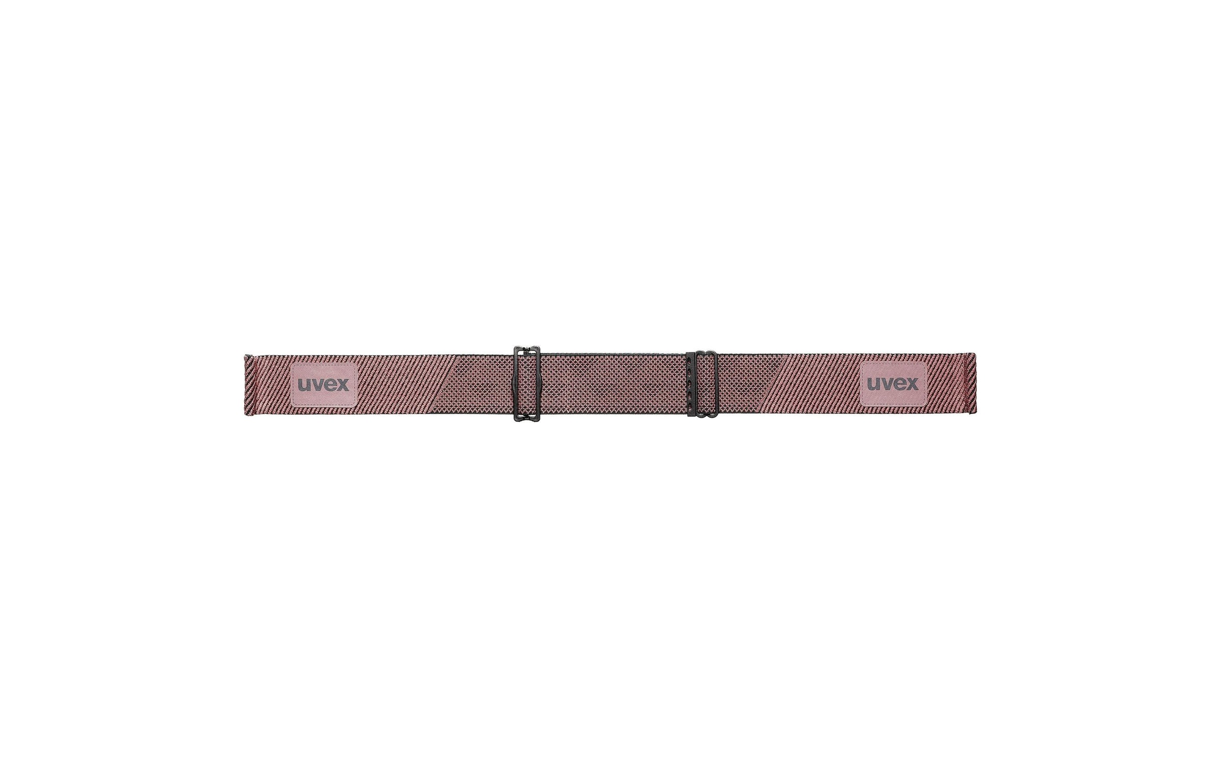 Uvex Skibrille »2100 CV planet«