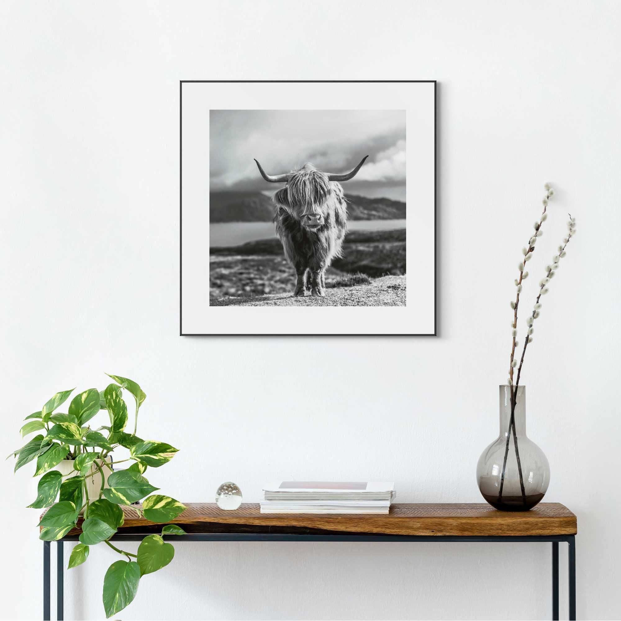 Reinders! Wandbild »Slim Frame Black 50x50 Highland Cow«