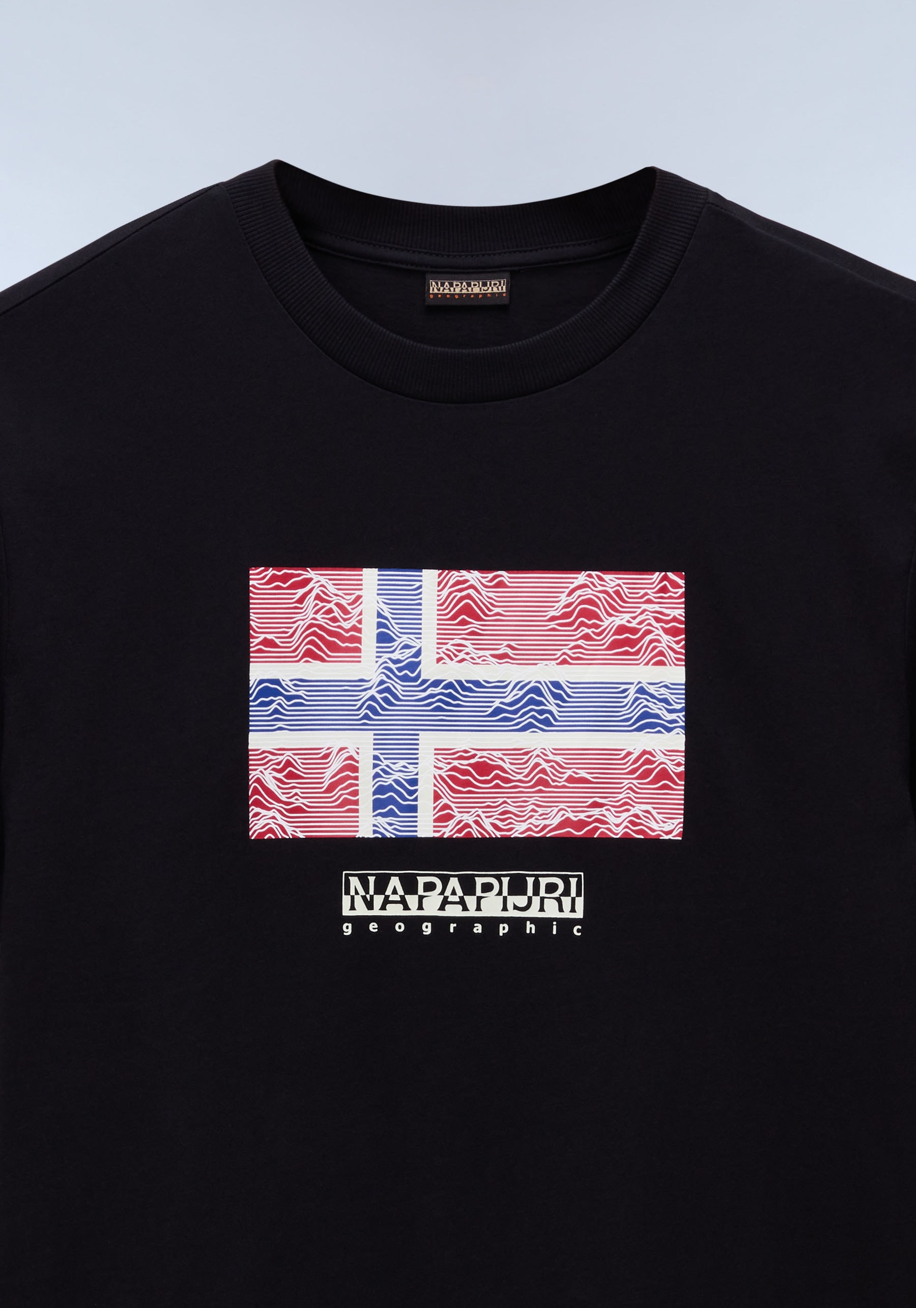 Napapijri T-Shirt »DRAPEAU«, mit Print, Rundhals, Jersey