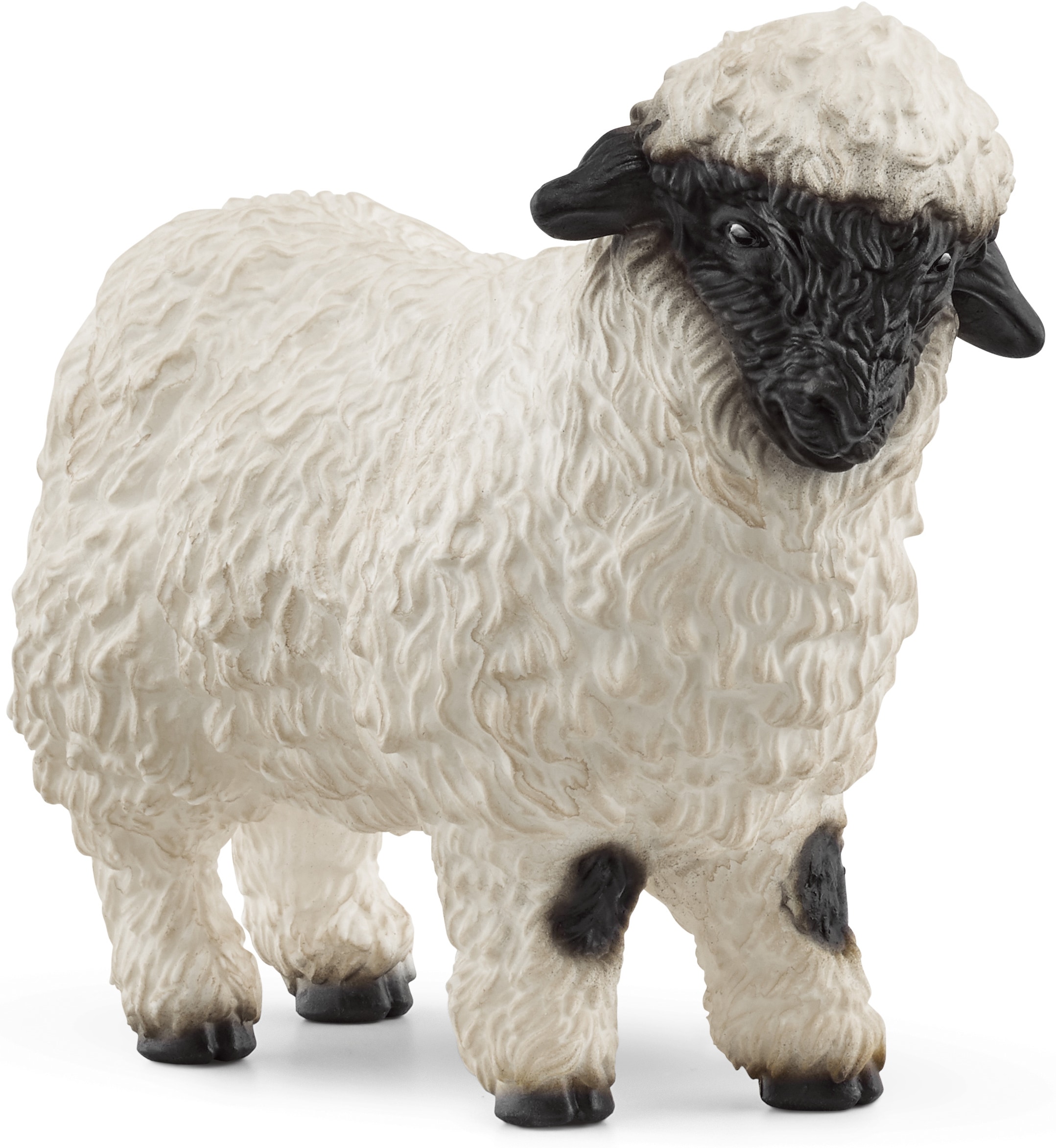 Schleich® Spielfigur »FARM WORLD, Walliser Schwarznasenschaf (13965)«
