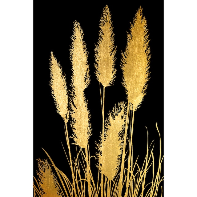 ❤ Leonique Acrylglasbild »Pampas Gras - Acrylbilder mit Blattgoldfarben  veredelt«, (1 St.), Goldfarbenveredelung, Handgearbeitet, Gerahmt, Edel  entdecken im Jelmoli-Online Shop