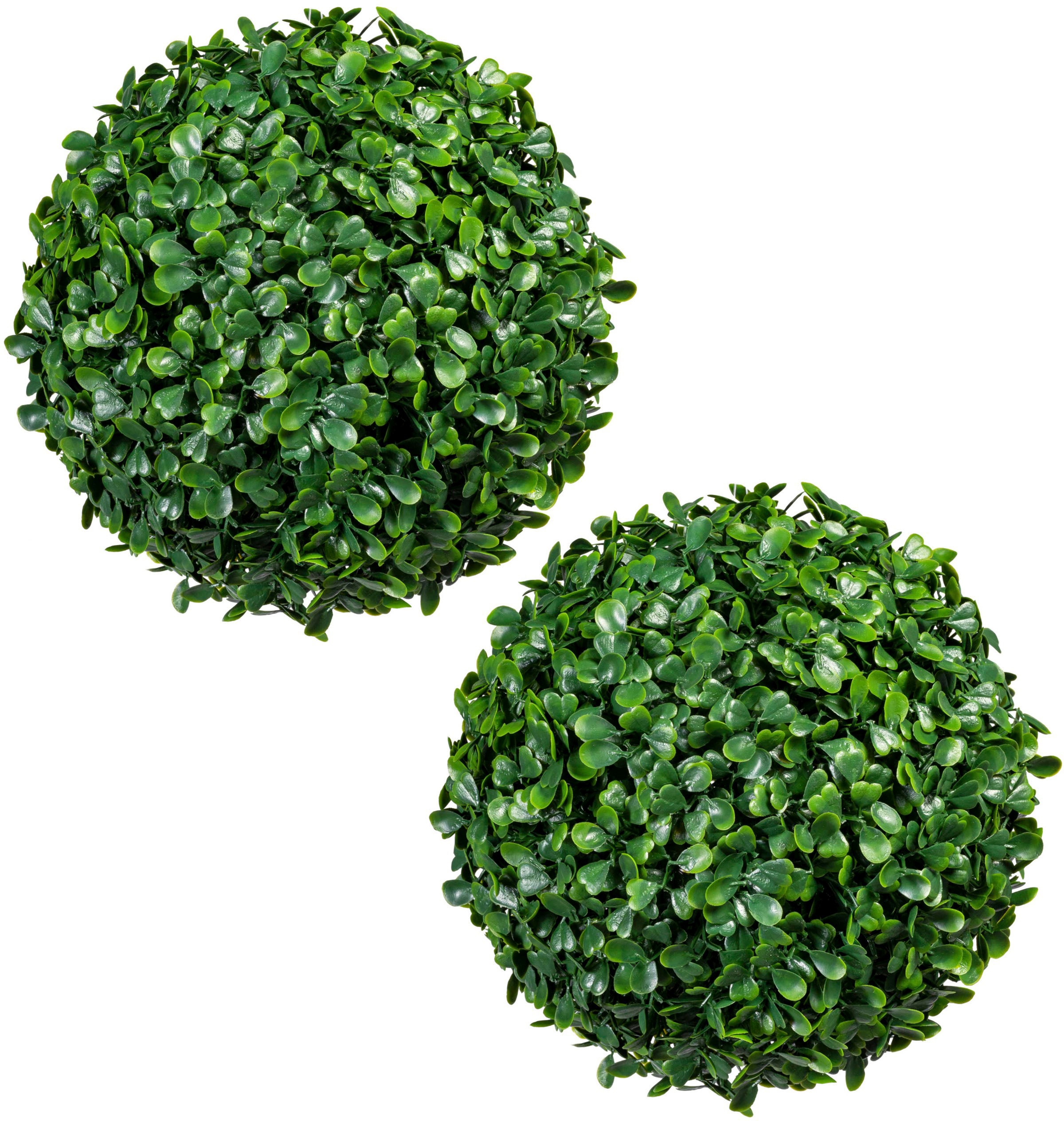 2er-Set bestellen Creativ »Buchsbaumkugel«, online green Jelmoli-Versand Kunstpflanze |