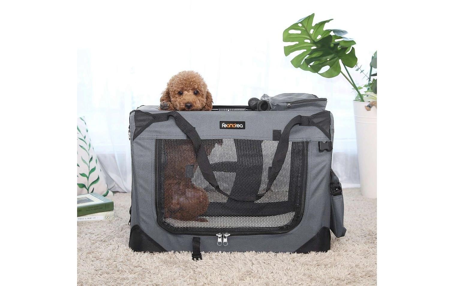 FEANDREA Tiertransportbox »für Hunde & Katzen M«