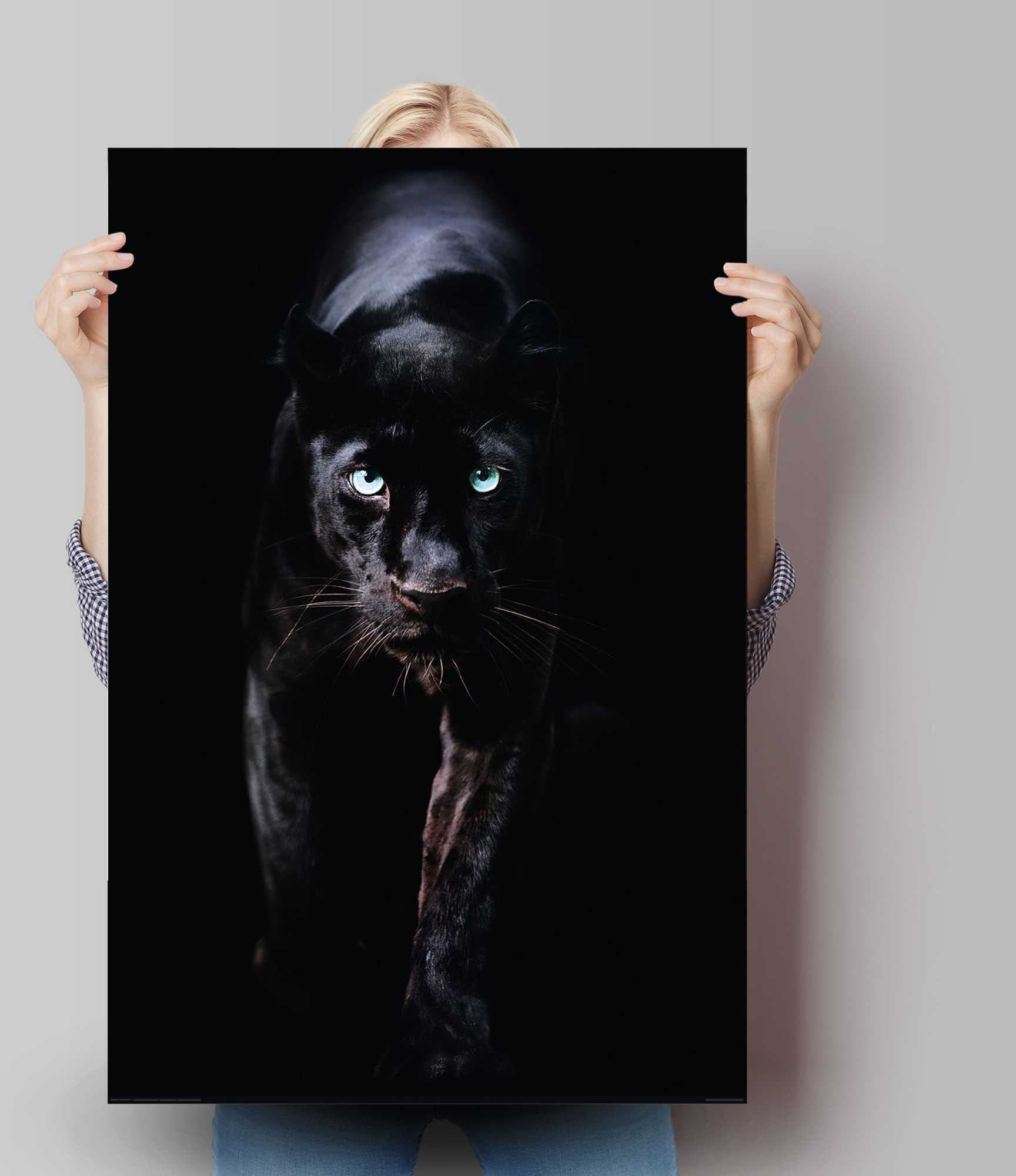 Reinders! Poster »Poster Schwarzer Panther«, Tiere, (1 St.)