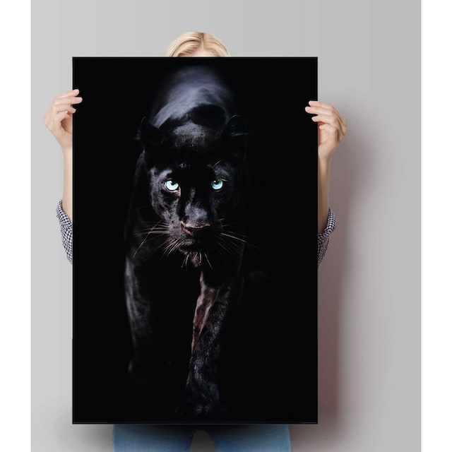 ❤ Reinders! Poster »Poster Schwarzer Panther«, Tiere, (1 St.) entdecken im  Jelmoli-Online Shop
