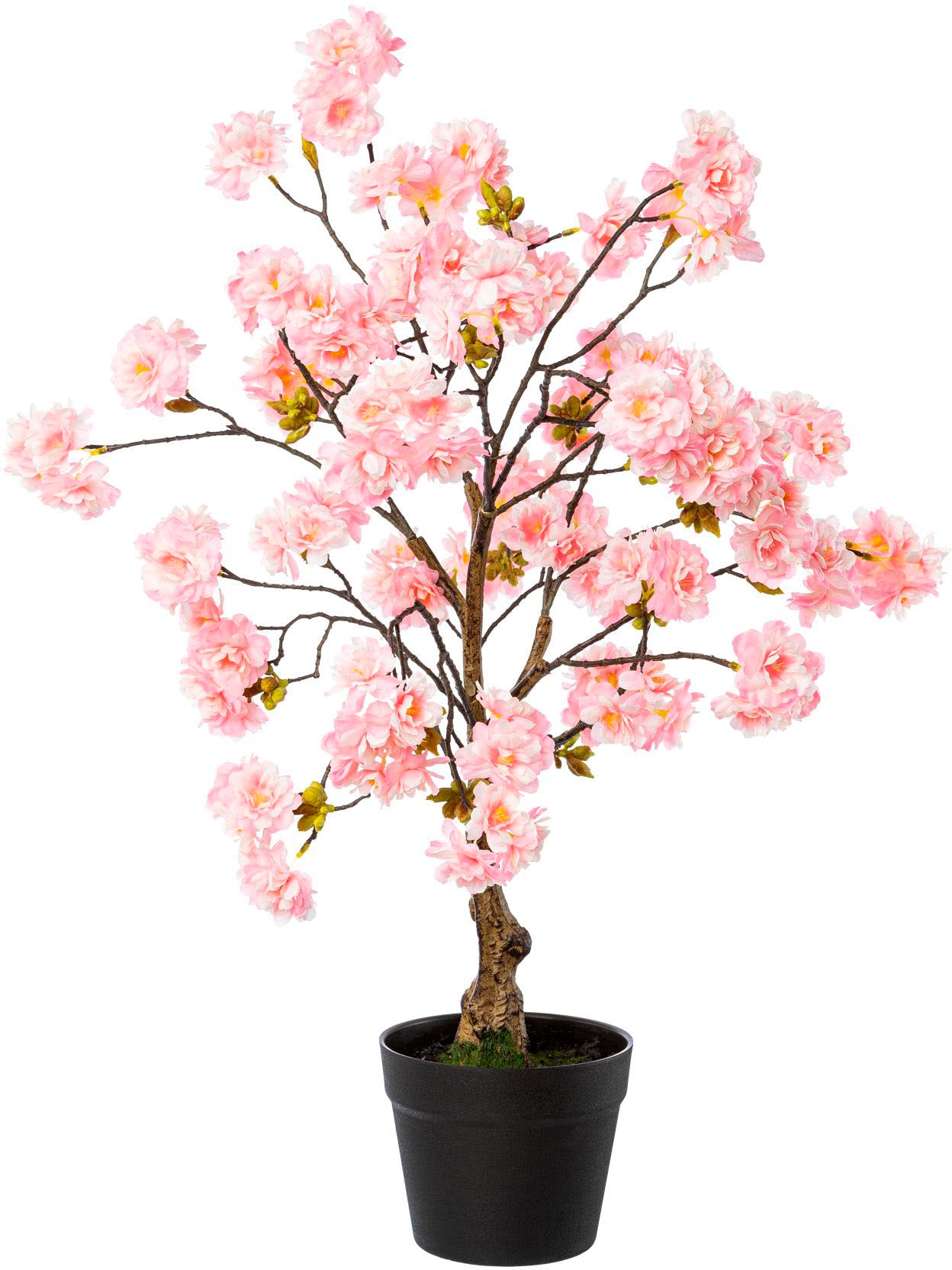 Creativ green Kunstblume »Kirschblütenbaum im Topf« online shoppen |  Jelmoli-Versand | Kunstpflanzen