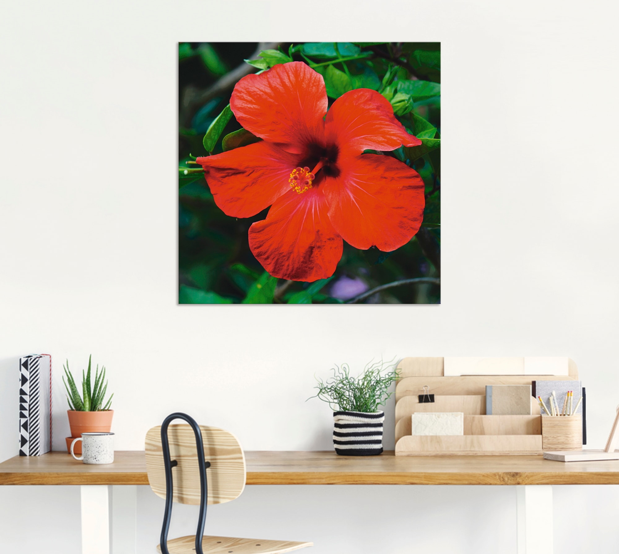 Artland Wandbild »Hawaiiblume«, Blumen, (1 St.), als Alubild, Leinwandbild, Wandaufkleber oder Poster in versch. Grössen