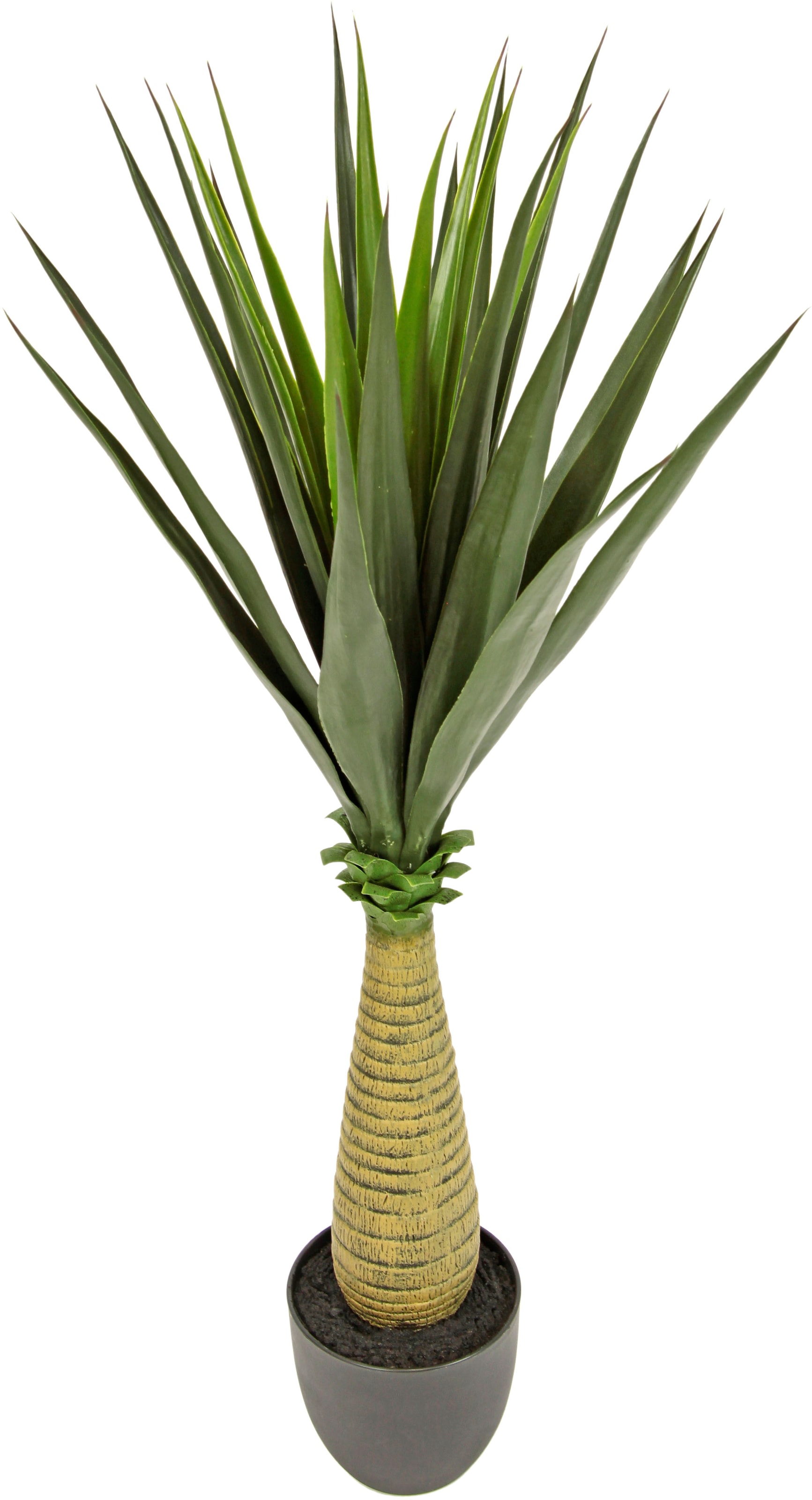 shoppen »Yucca« | Zimmerpflanze online I.GE.A. Künstliche Jelmoli-Versand