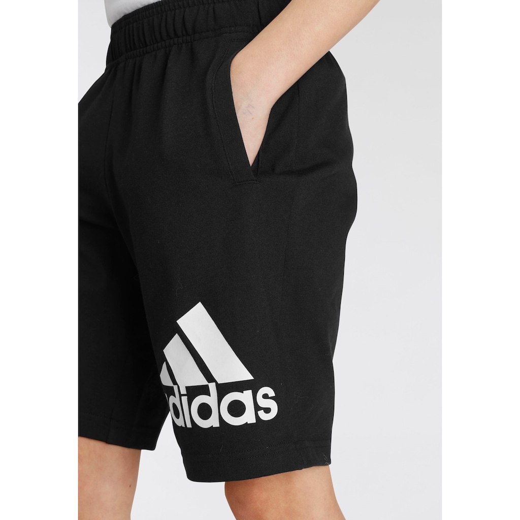 adidas Sportswear Shorts »ESSENTIALS BIG LOGO COTTON«, (1 tlg.)