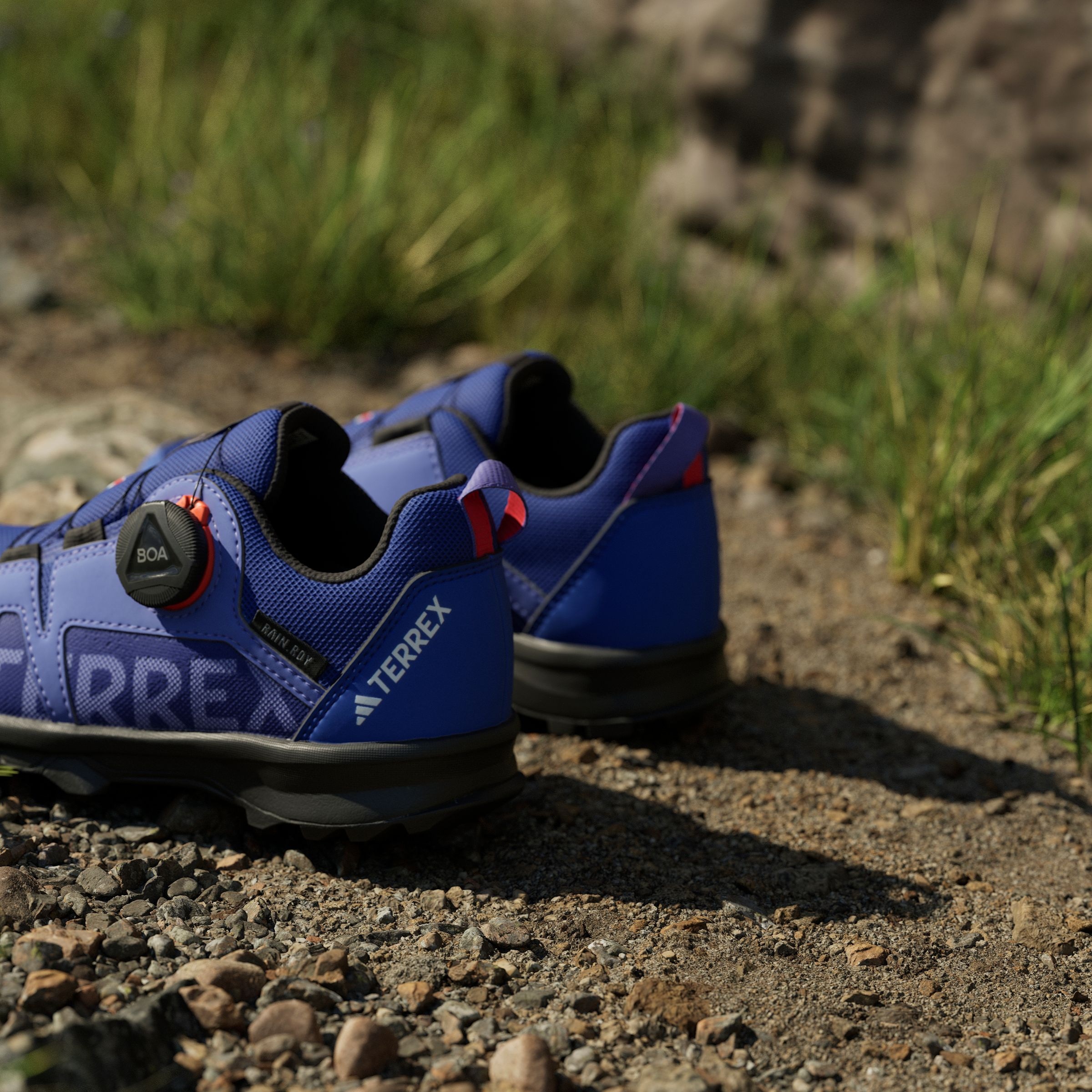adidas TERREX Trailrunningschuh »TERREX AGRAVIC BOA RAIN.RDY TRAILRUNNING«, wasserdicht