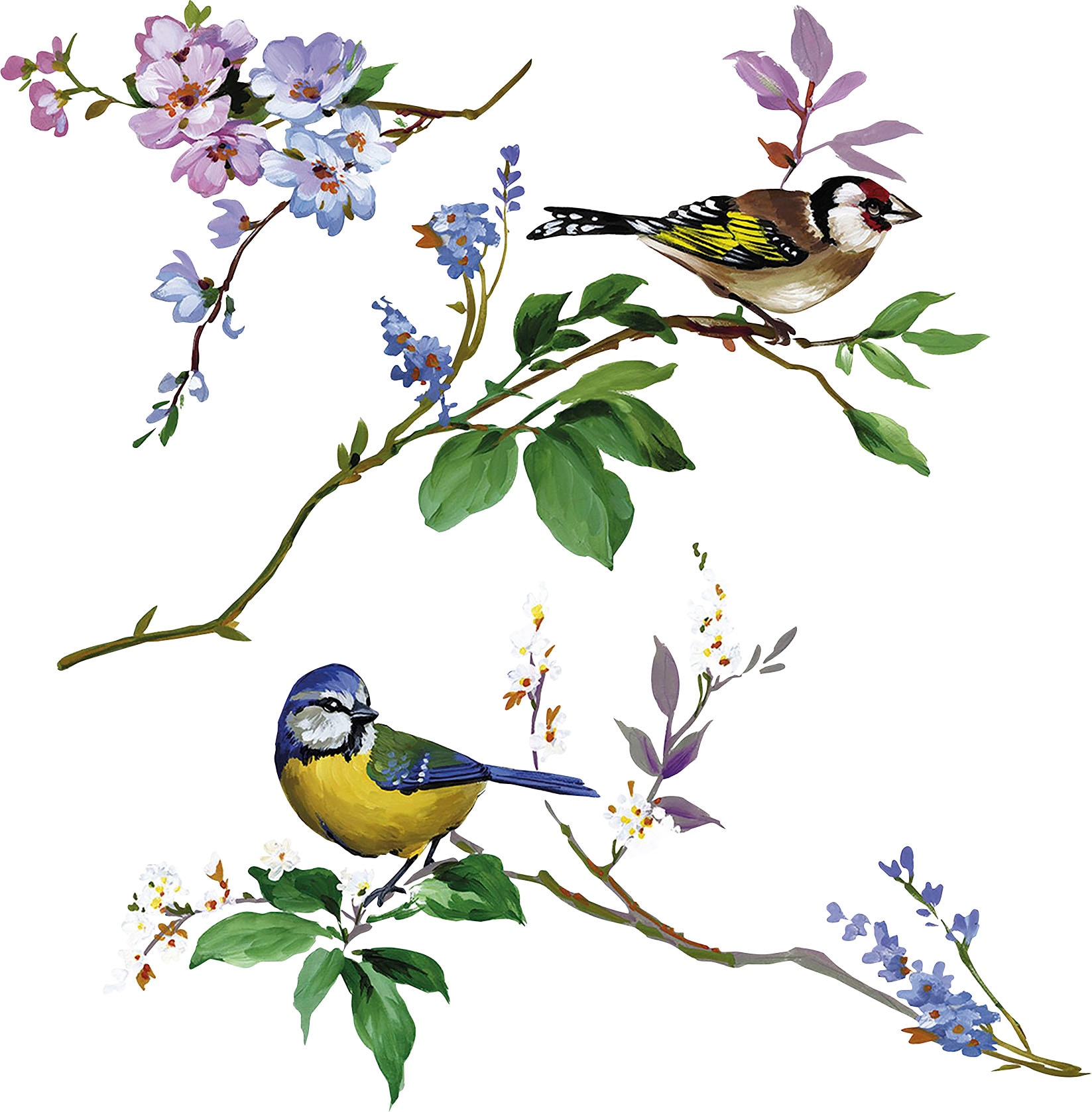 »Wedding Shop cm Birds«, Jelmoli-Online x 31x31 bestellen Fensterbild selbsthaftend (Breite ❤ Komar im Höhe),