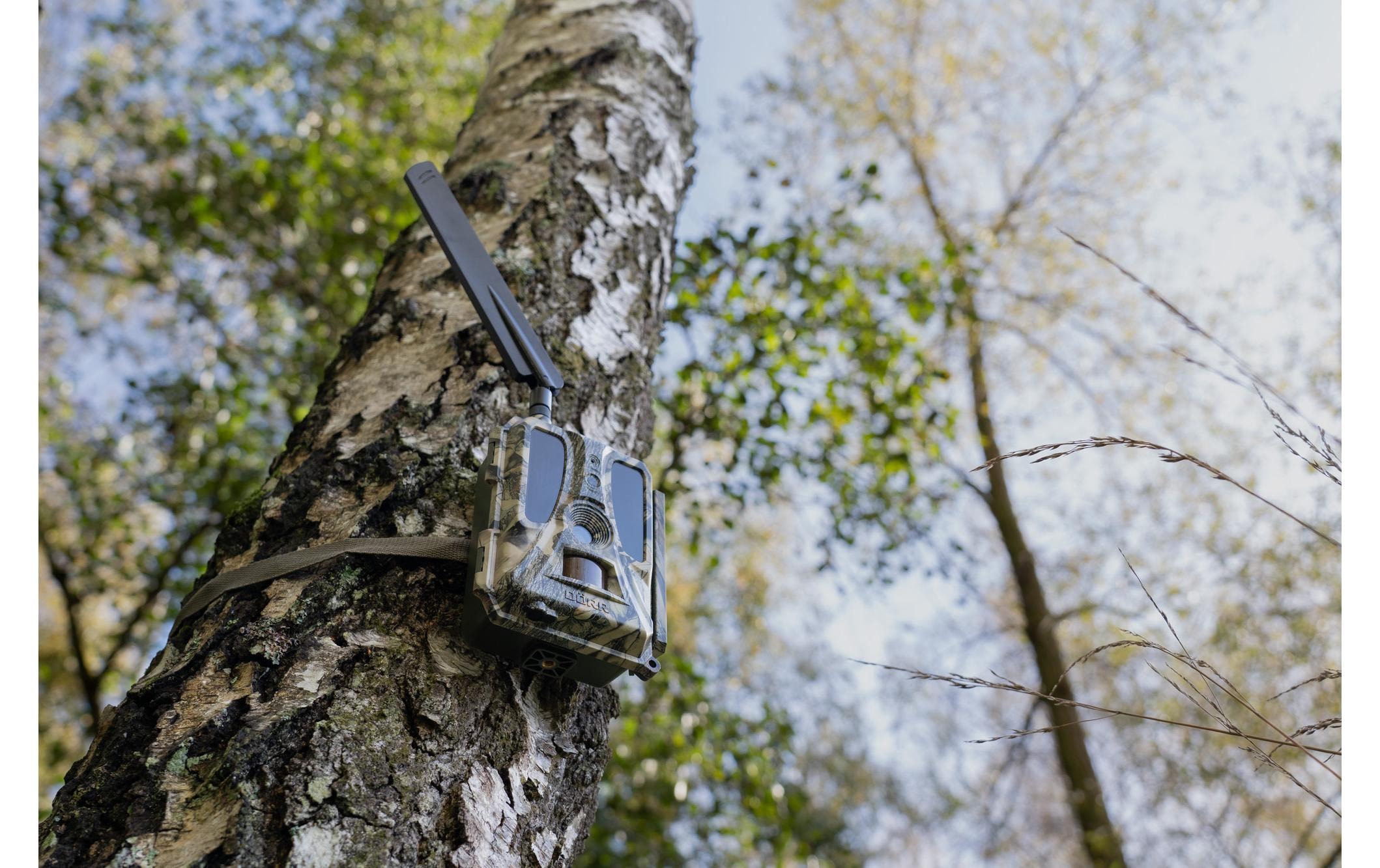 Wildkamera »Dörr Wildkamera SnapShot Cloud Pro 4G WA«, Aussenbereich