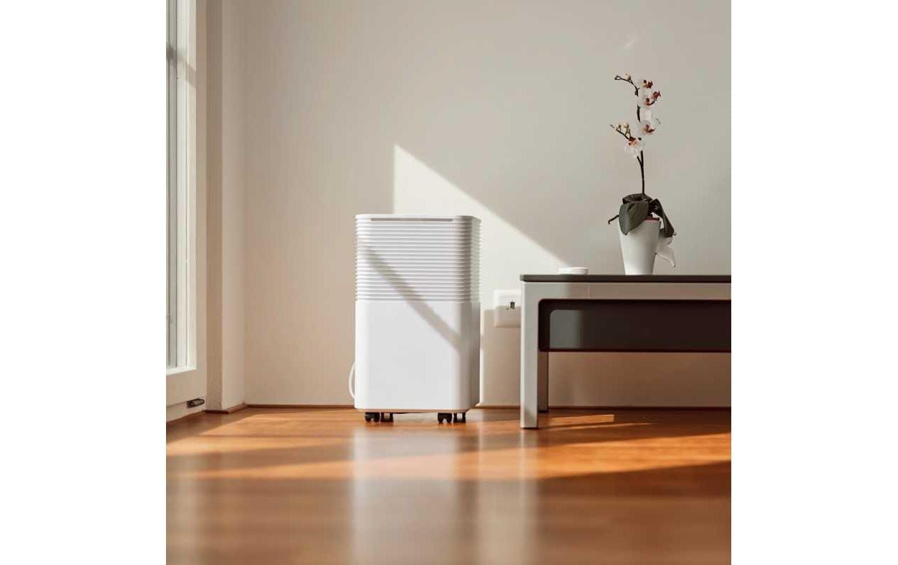 Luftentfeuchter »Ecofort ecoQ DryAir 12L Essential 30 m²«, für 30 m³ Räume, Tank 2 l