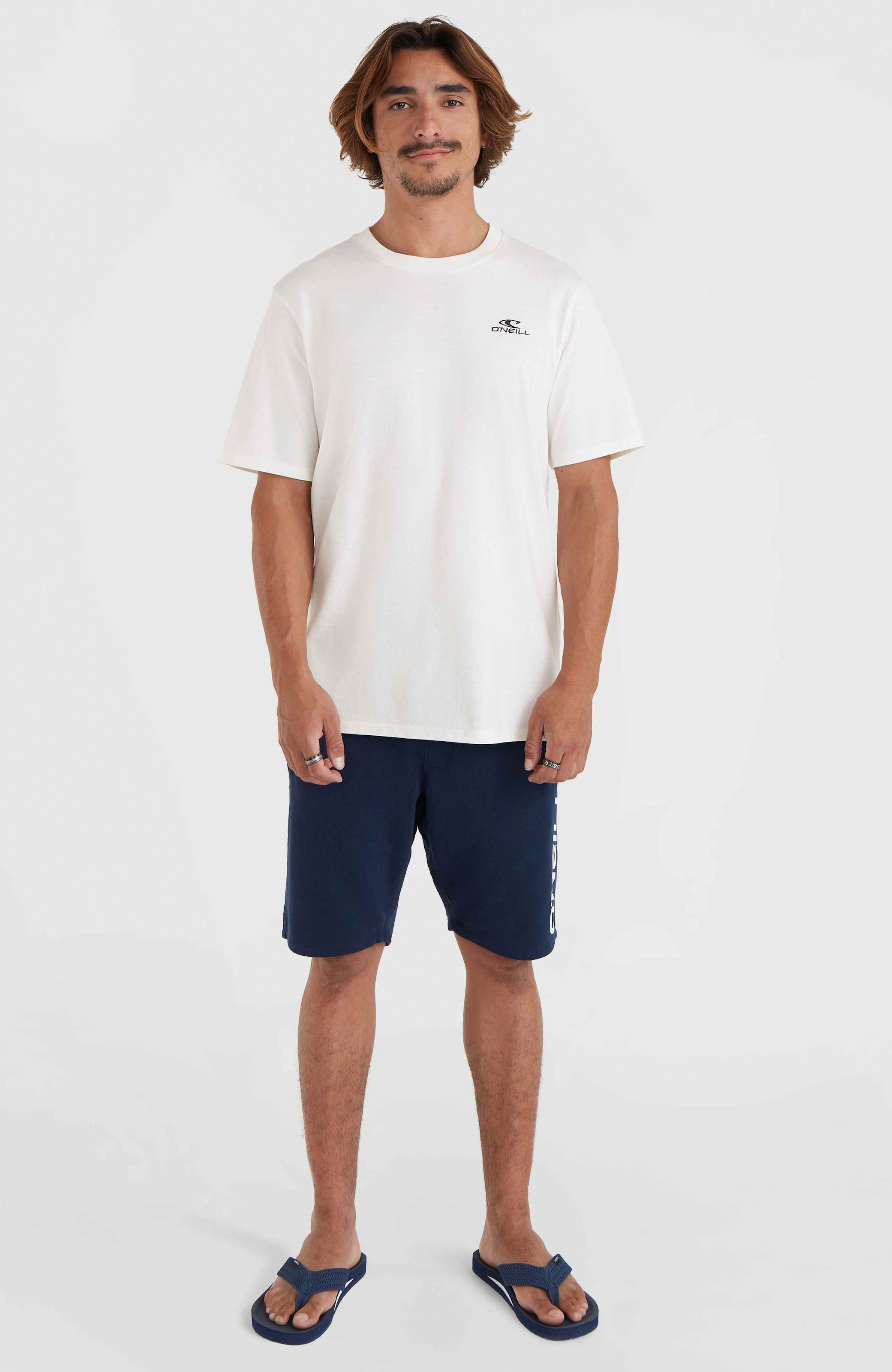 O'Neill T-Shirt »O'NEILL SMALL LOGO T-SHIRT«