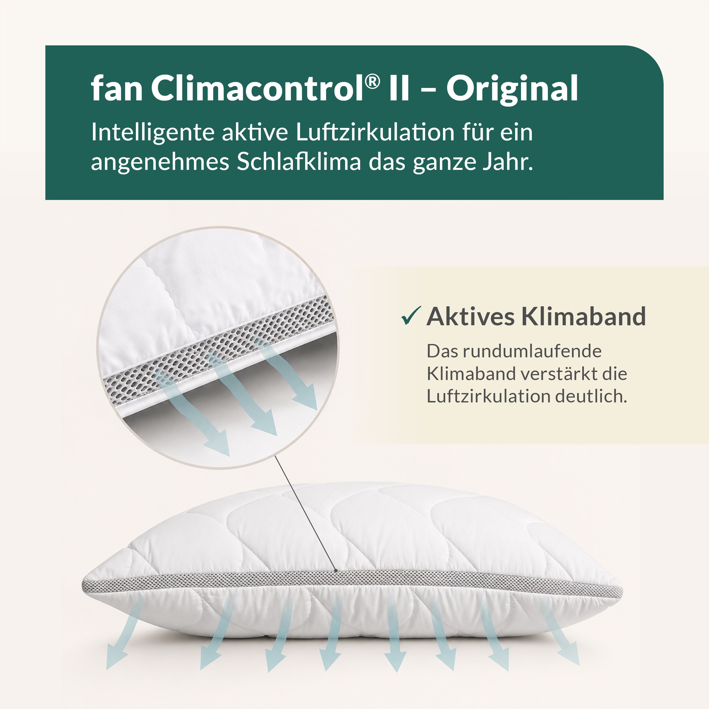 fan Microfaserkissen "Climacontrol II m. Baumwollbezug" 1 Stk. tlg. Microfaserkopfkissen mit Lüftungsband, 40x80 oder 80x80 cm erhältlich