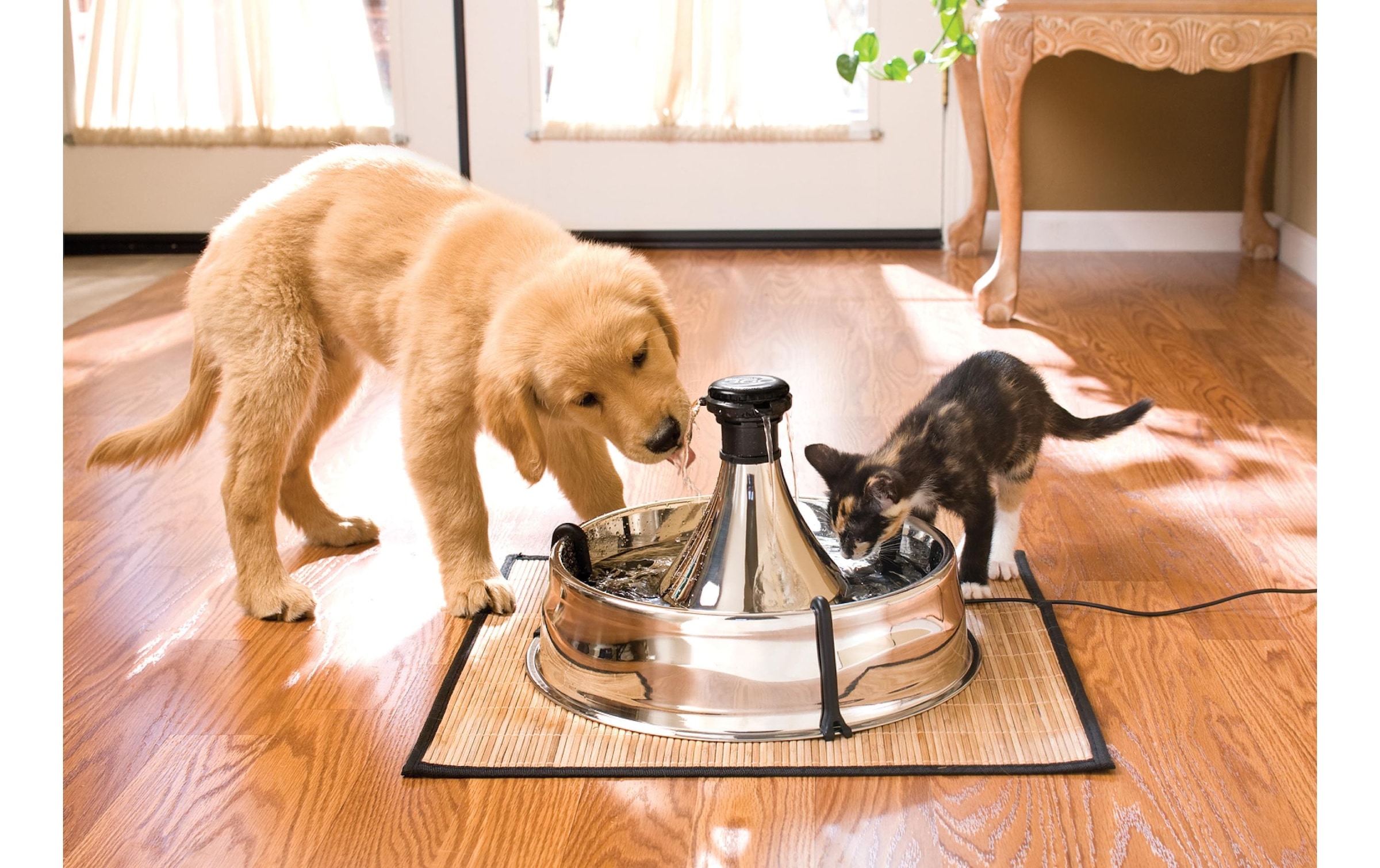 PetSafe Wasserspender »PetSafe Drinkwell 360«