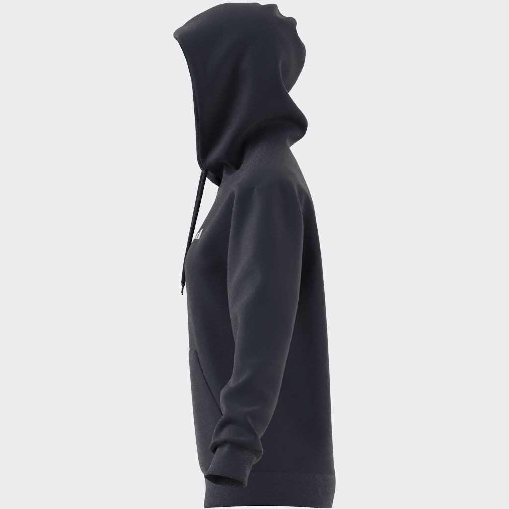 adidas Sportswear Kapuzensweatshirt »W SL FC HD«