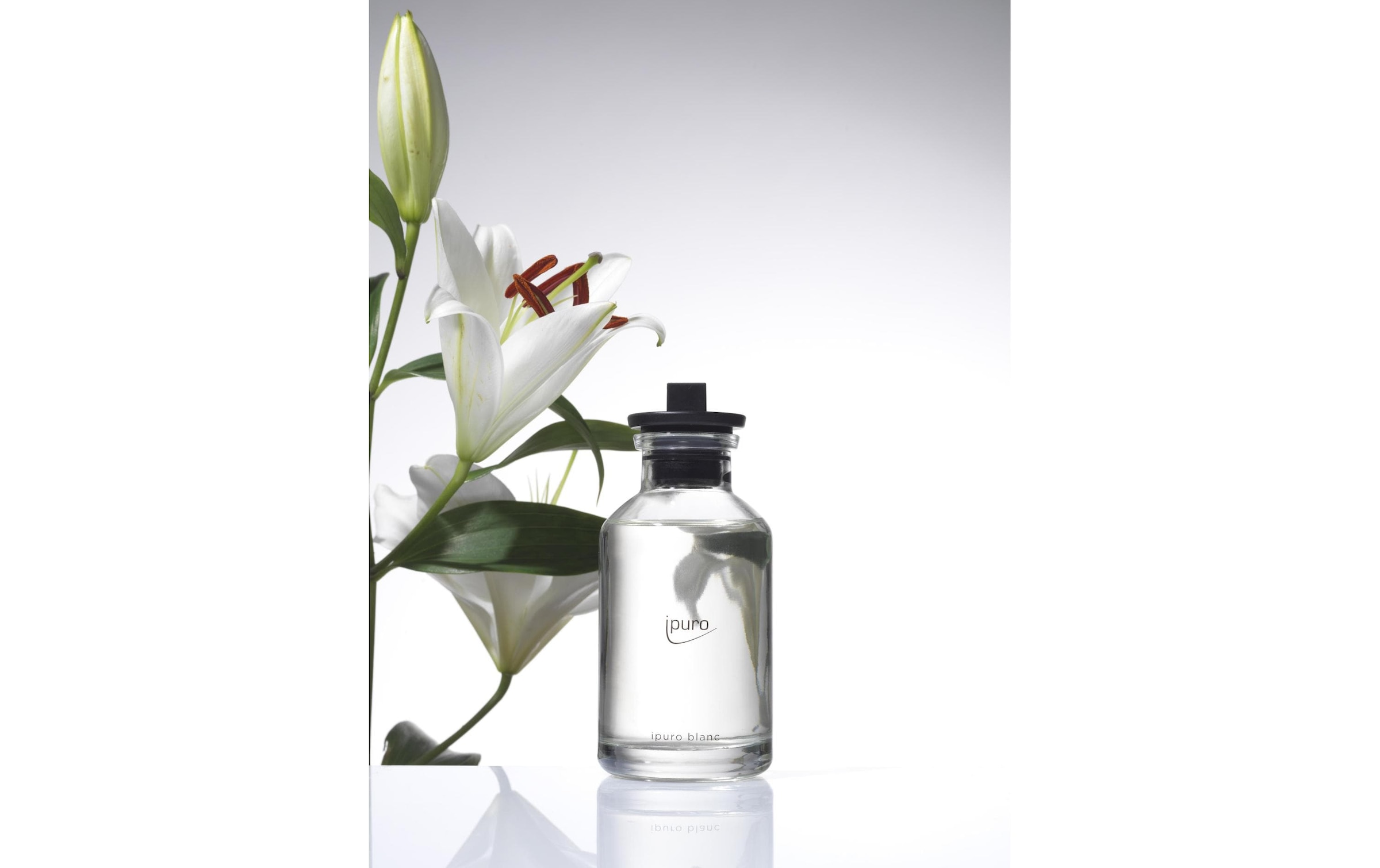 IPURO Duftstäbchen »Classic blanc 240ml«