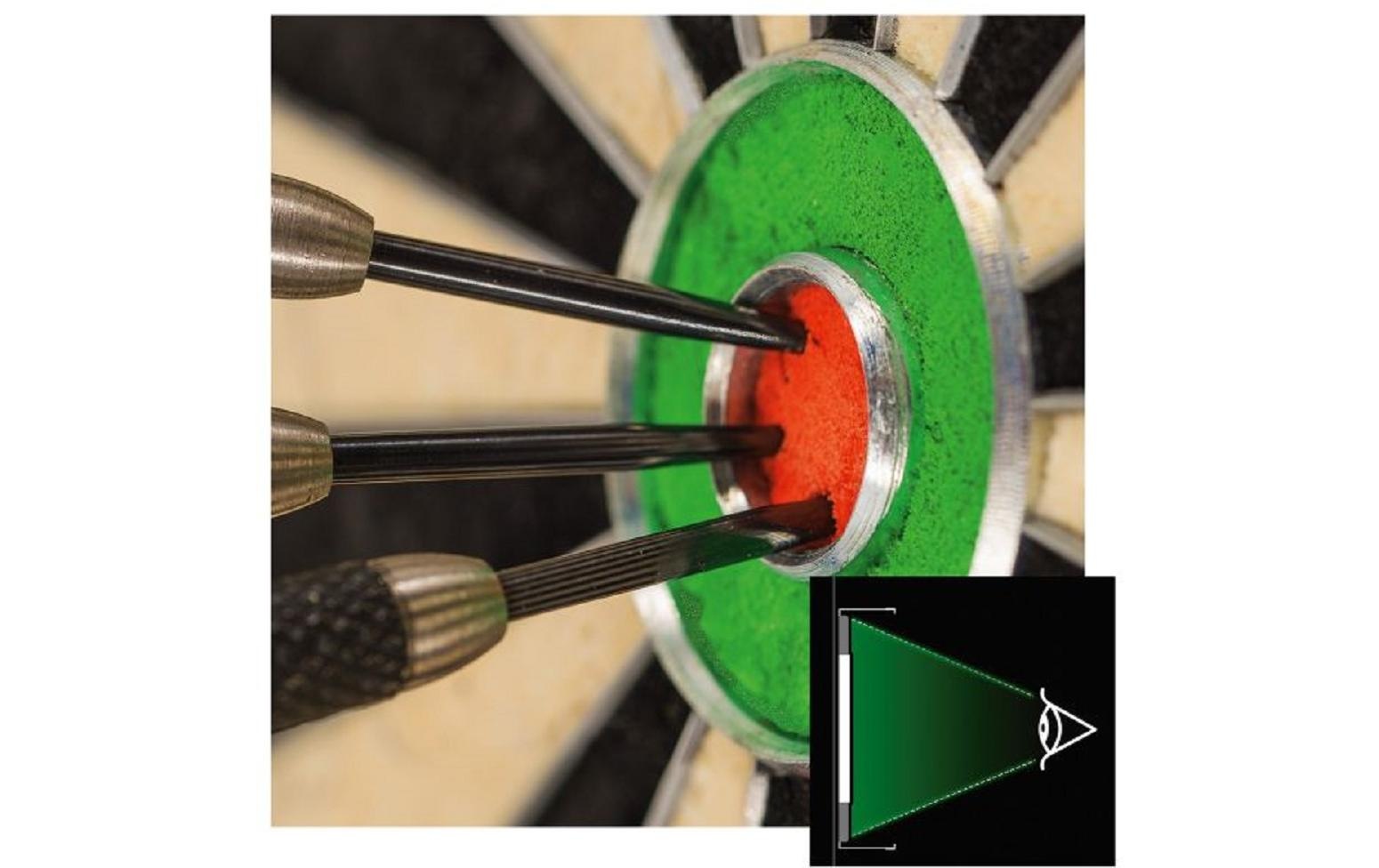 Winmau Dartscheibe »Plasma Light Professional«
