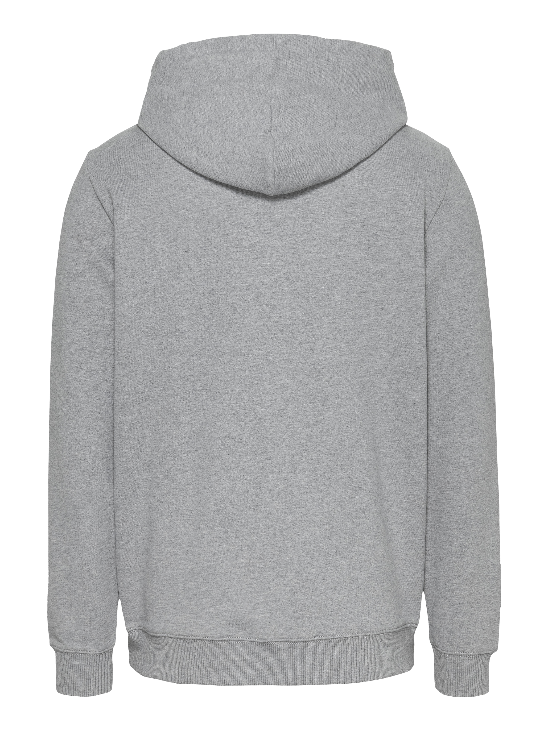 Tommy Jeans Plus Hoodie »TJM REG ENTRY GRAPHIC HOODIE EXT«, in Grossen Grössen, Logodruck, Kängurutasche