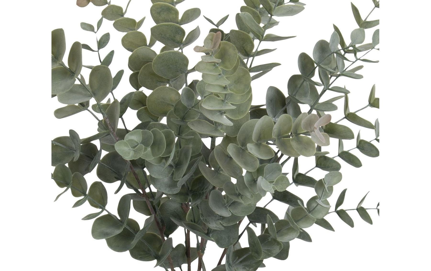 Botanic-Haus Kunstbaum »Eukalyptusbusch 56 cm«