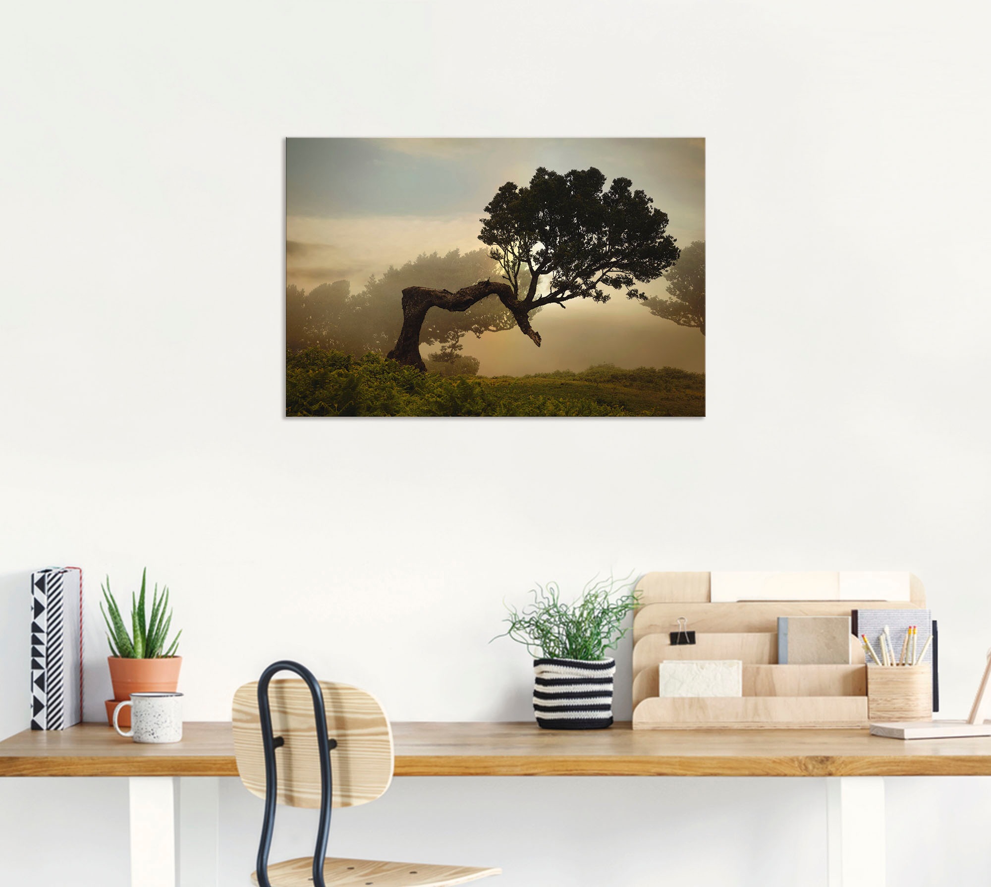 Artland Wandbild »Lorbeerbaum«, Bäume, (1 St.), als Alubild, Leinwandbild,  Wandaufkleber oder Poster in versch. Grössen online shoppen |  Jelmoli-Versand