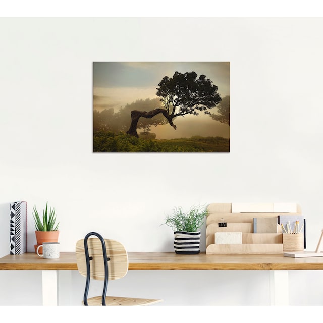 Artland Wandbild »Lorbeerbaum«, Bäume, (1 St.), als Alubild, Leinwandbild,  Wandaufkleber oder Poster in versch. Grössen online shoppen |  Jelmoli-Versand