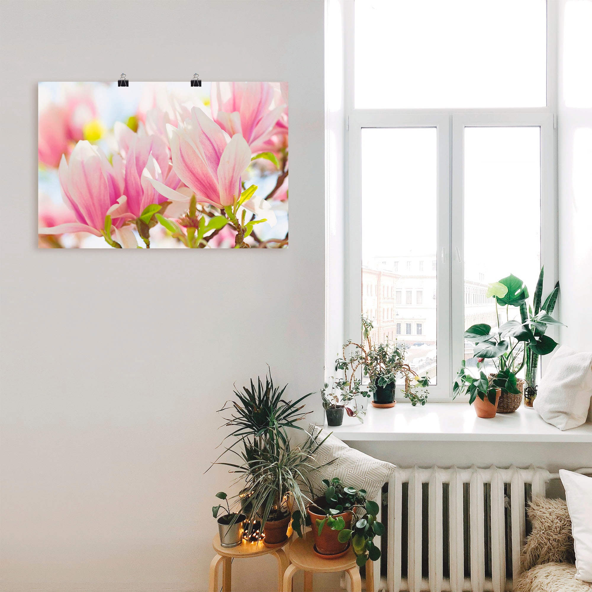 Artland Wandbild »Leuchtende Magnolien«, Blumen, (1 St.), als Alubild, Leinwandbild, Wandaufkleber oder Poster in versch. Grössen