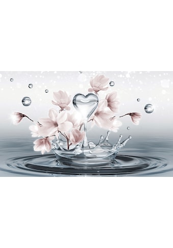 Consalnet Fototapete »Magnolie 3D im Wasser«, Motiv kaufen