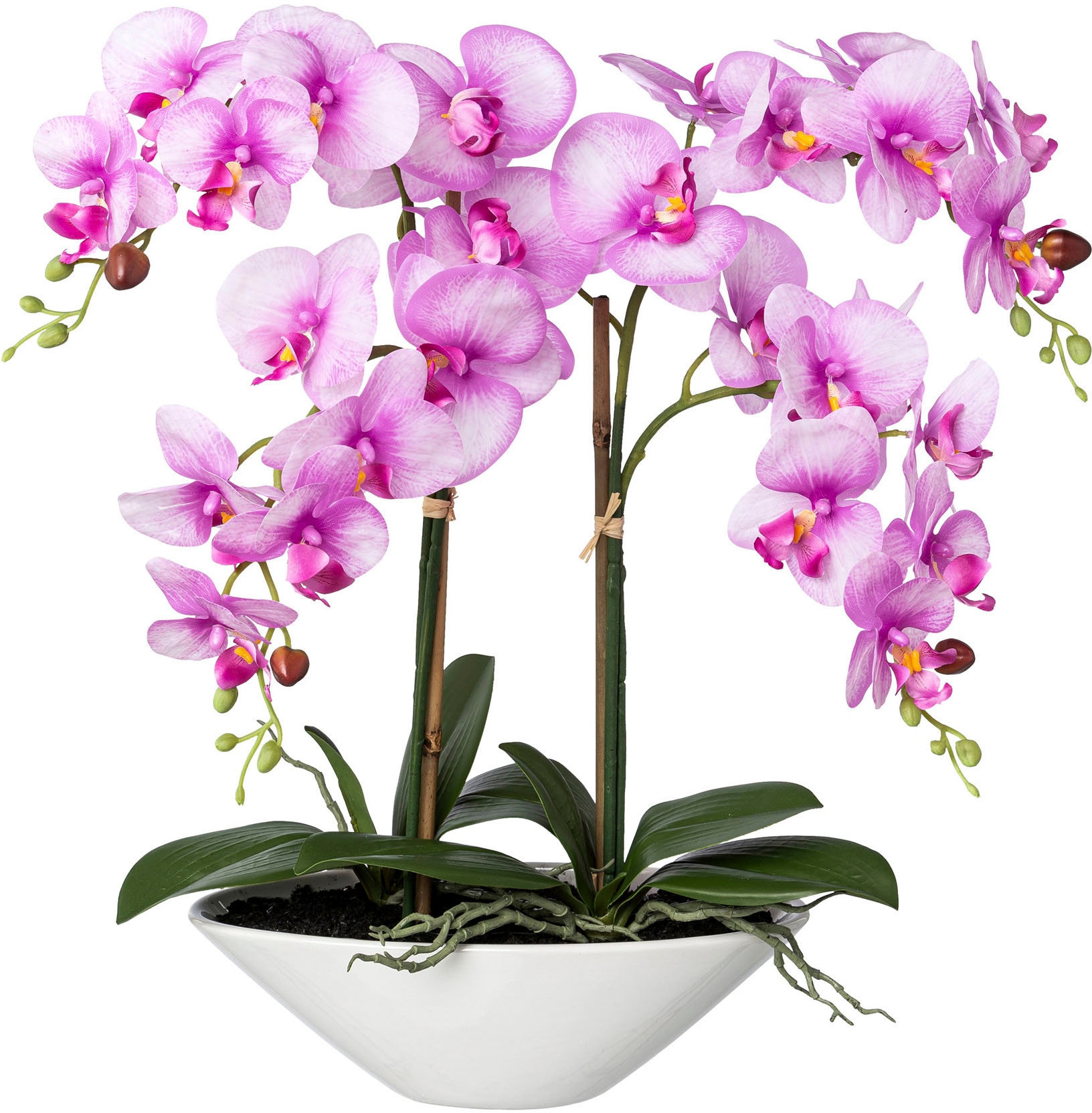 Kunstorchidee »Deko-Orchidee Phalaenopsis in Keramikschale«