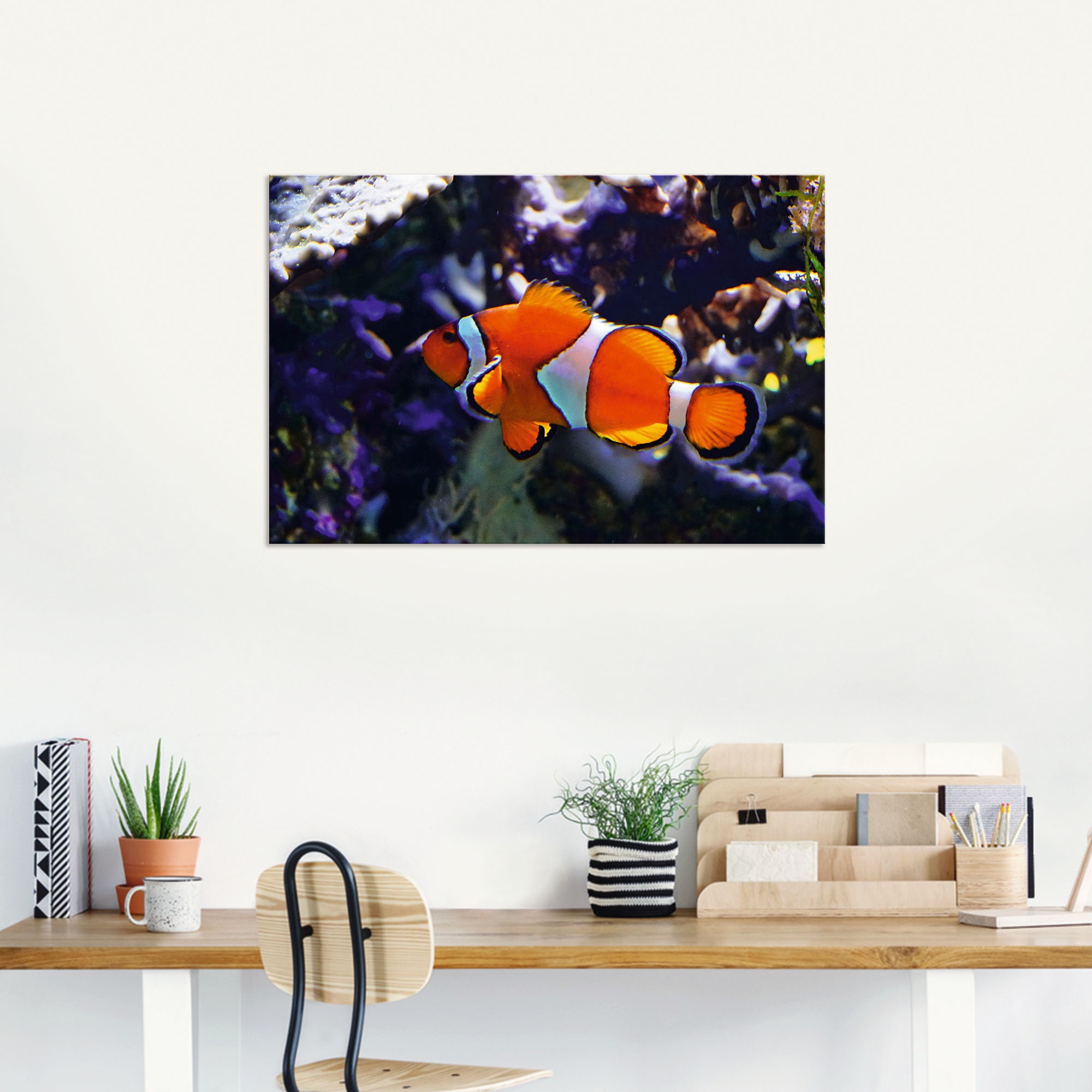 Artland Wandbild »Clownfisch«, (1 | kaufen in oder online Alubild, versch. St.), Jelmoli-Versand Wandaufkleber Wassertiere, Poster Grössen als Leinwandbild