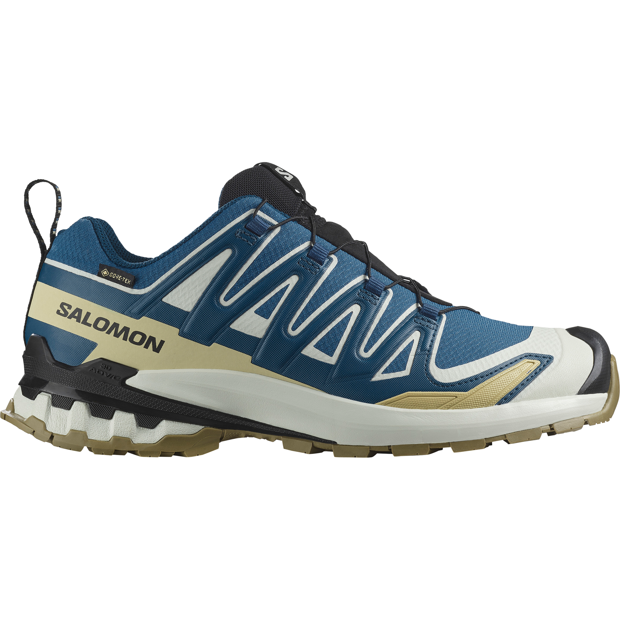 Salomon Laufschuh »XA PRO 3D V9 GORE-TEX«, wasserdicht