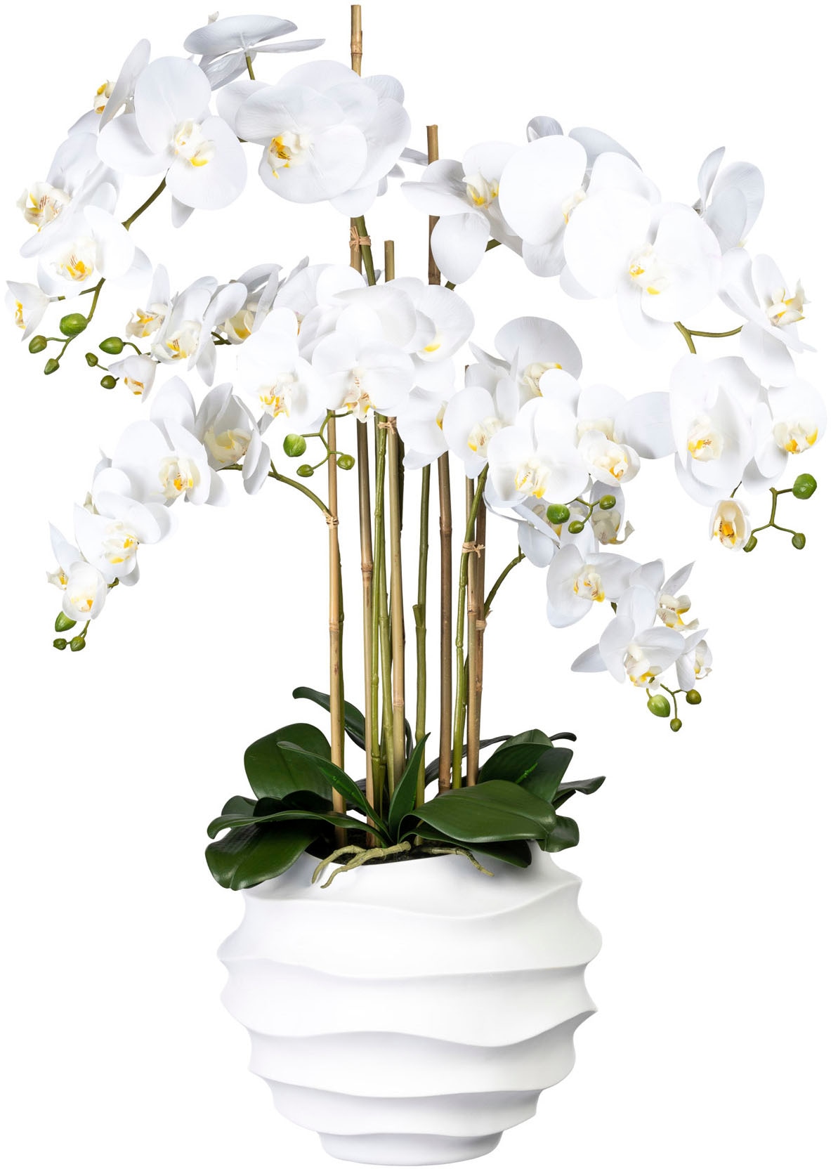 Creativ green Kunstorchidee shoppen Phalaenopsis im XL »Deko-Orchidee online Jelmoli-Versand | Keramiktopf«