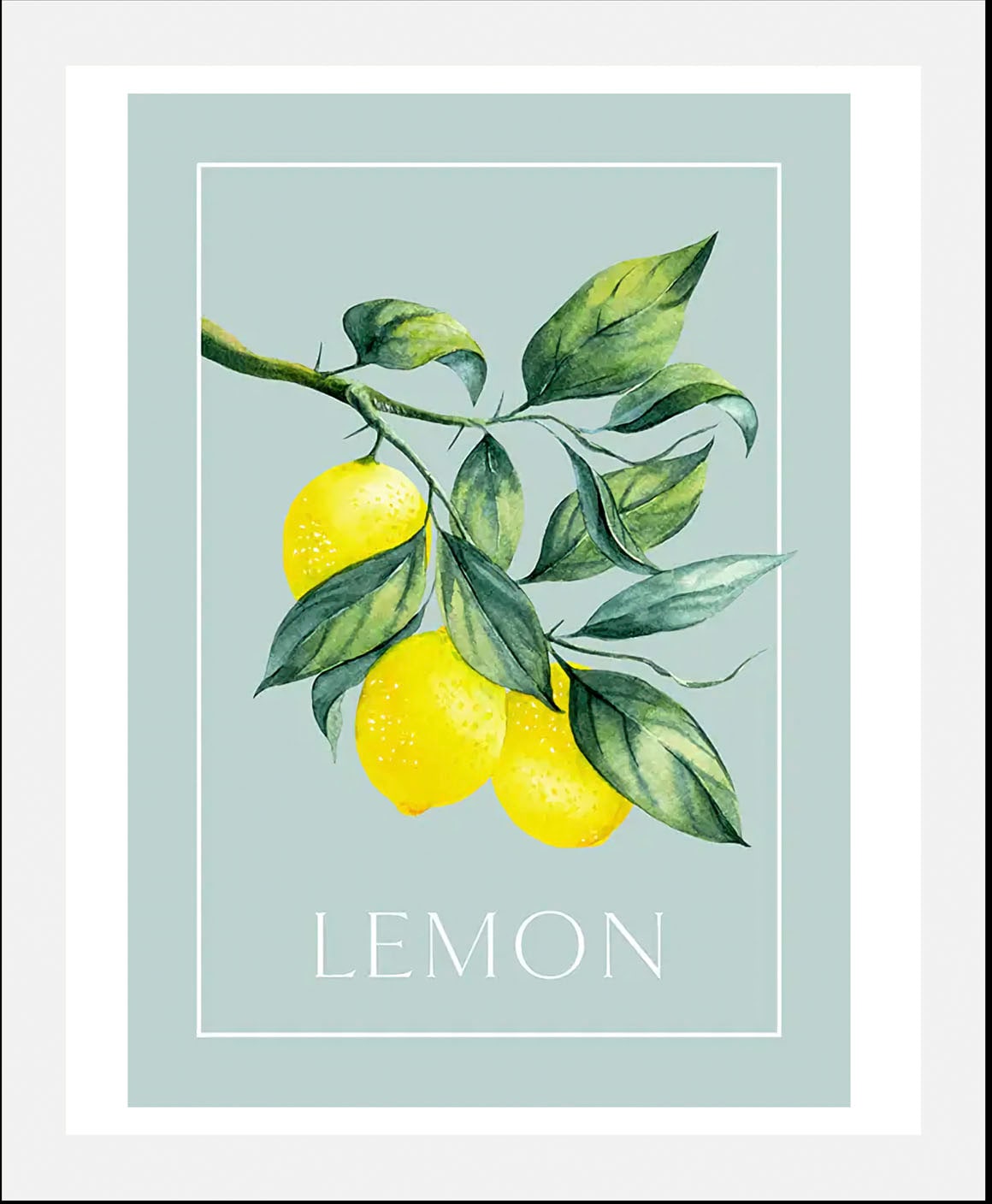 queence Poster »Lemon - Zitronenzweig«, Obst-Obst Bilder-Schriftzug-Figuren-Abstrakt, (1 St.), HD Premium Druck