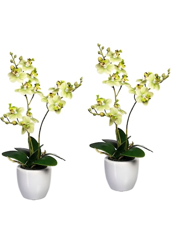 Creativ green Kunstorchidee »Phalaenopsis«, (2 St.), im Keramiktopf, 2er Set kaufen