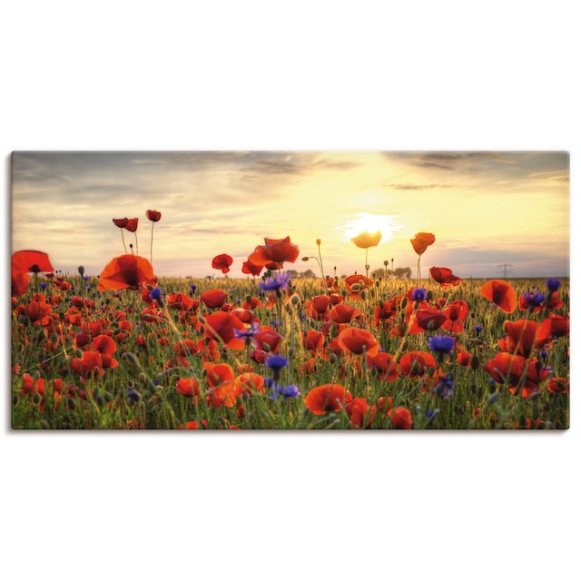 Artland Wandbild »Mohnblumen«, Blumen, (1 St.), als Alubild, Leinwandbild,  Wandaufkleber oder Poster in versch. Grössen online kaufen | Jelmoli-Versand