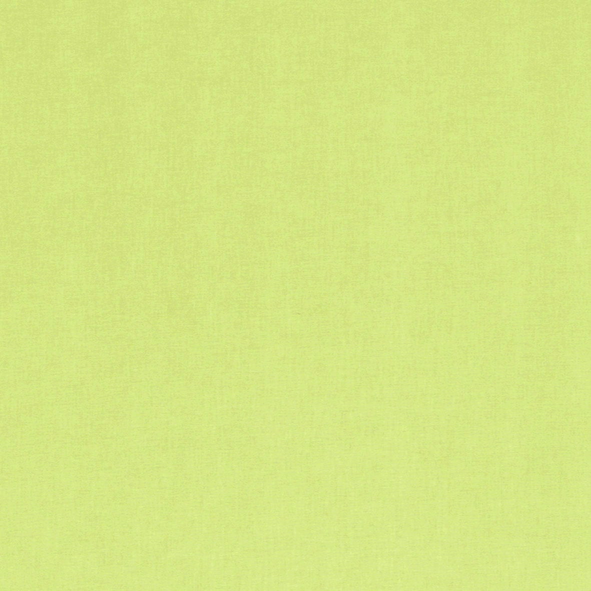 GARDINIA Schiebegardine »Flächenvorhang Stoff Digitaldruck Entry«, (1 St.), ohne Paneelwagen