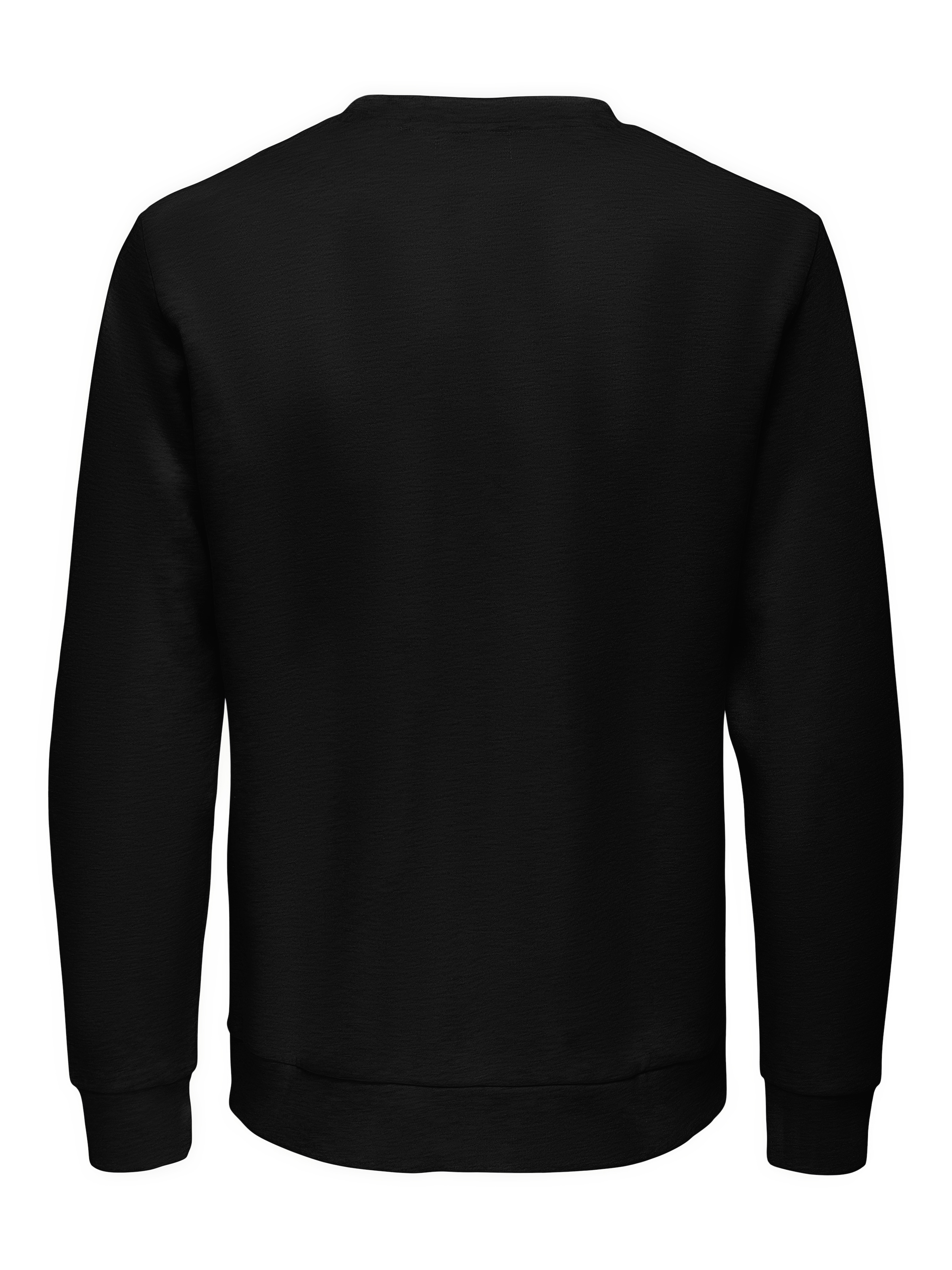 ONLY & SONS Sweatshirt »ONSCHASE REG CREW SWEAT OTL«