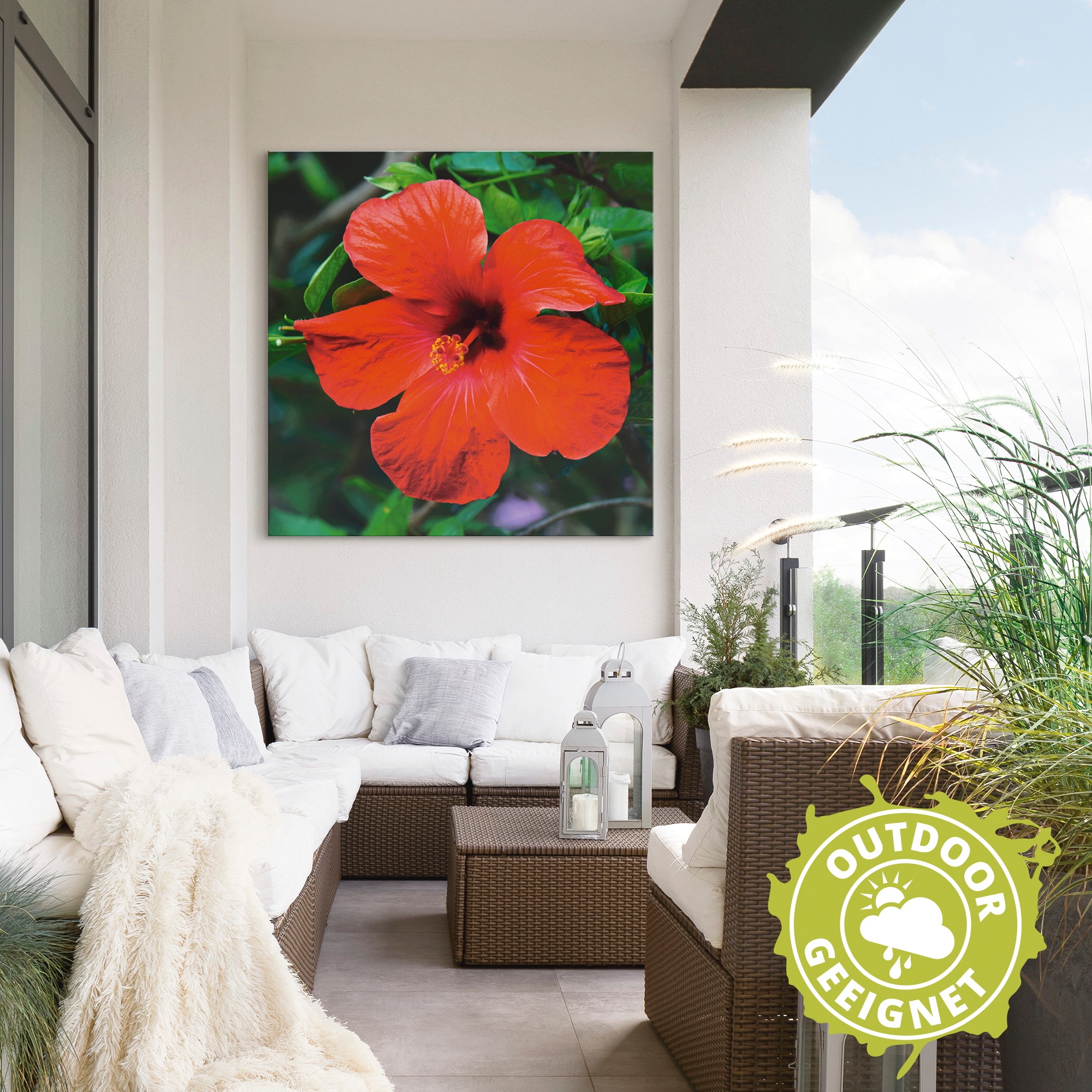 Artland Wandbild »Hawaiiblume«, Blumen, (1 St.), als Alubild, Leinwandbild, Wandaufkleber oder Poster in versch. Grössen