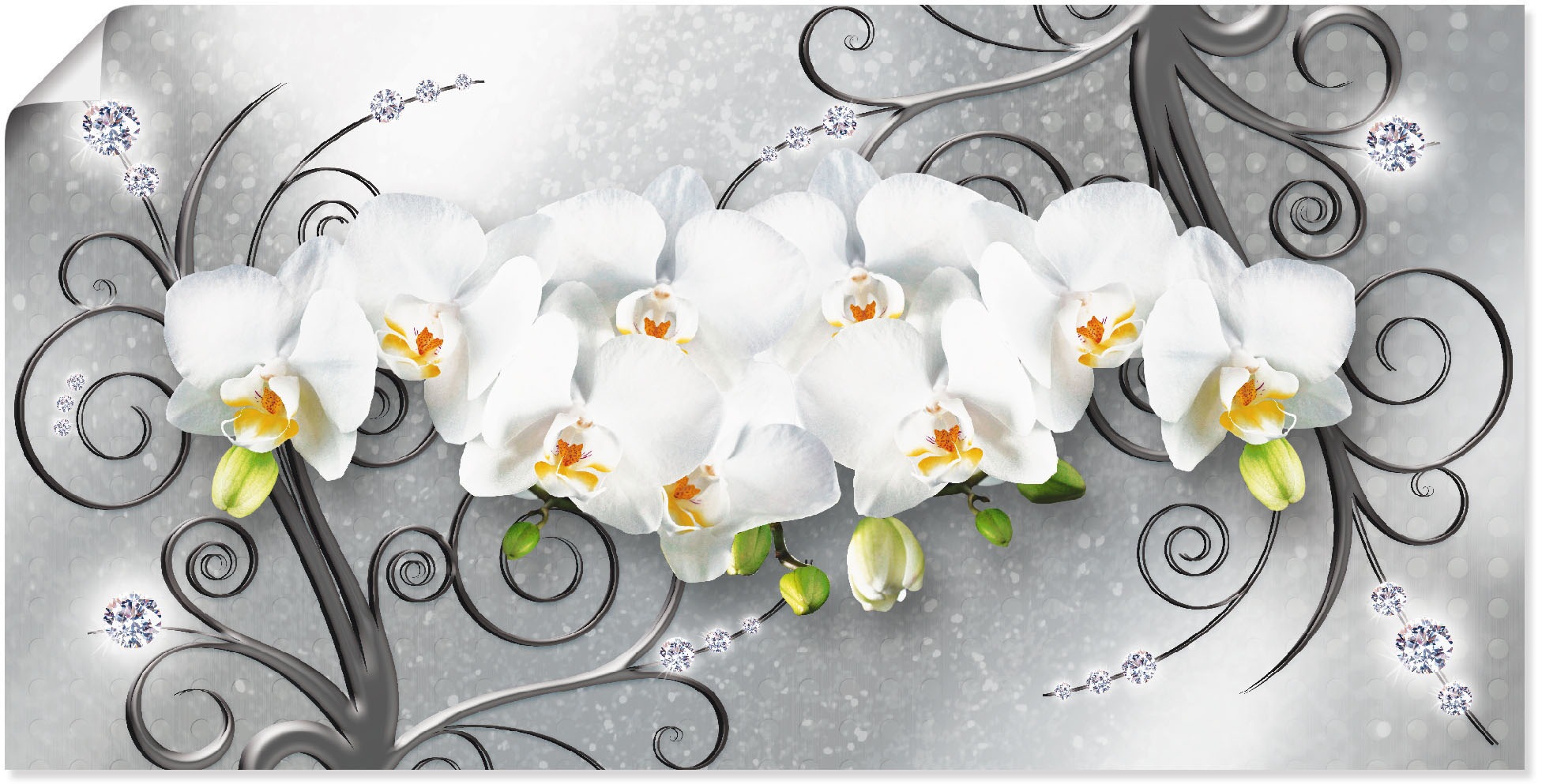 Artland Wandbild »weisse Orchideen auf (1 oder Grössen Alubild, versch. als Poster Jelmoli-Versand Ornamenten«, St.), | Leinwandbild, online in bestellen Blumenbilder, Wandaufkleber