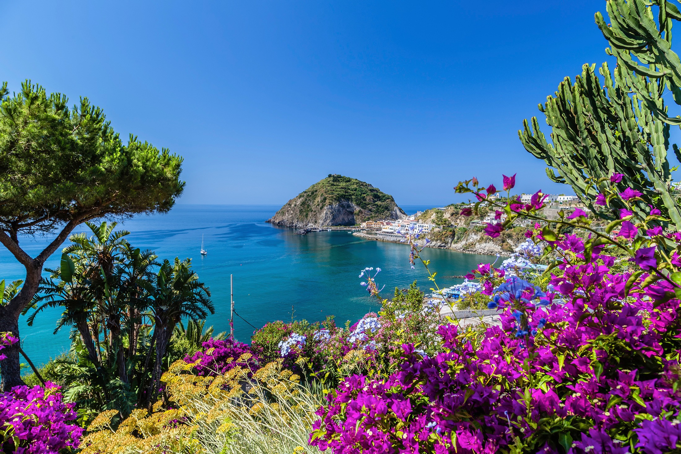 Papermoon Fototapete »ISCHIA ITALIEN-BOUGANVILLA INSEL MEER BLUME FELSEN WALD« kaufen