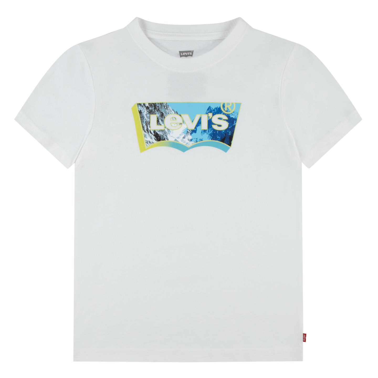 Levi's® Kids T-Shirt mit Batwing-Logoprint mit Landschaft in 3-D-Optik