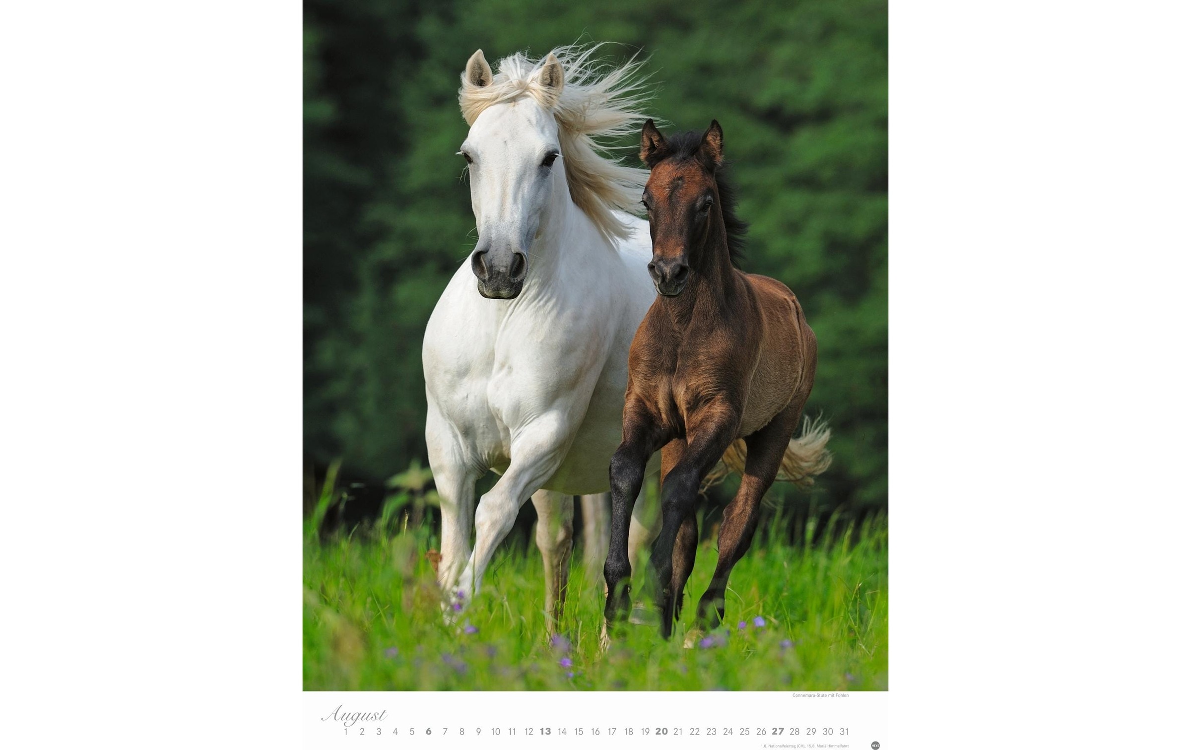 HEYE Wandkalender »Pferde Classics Poste«