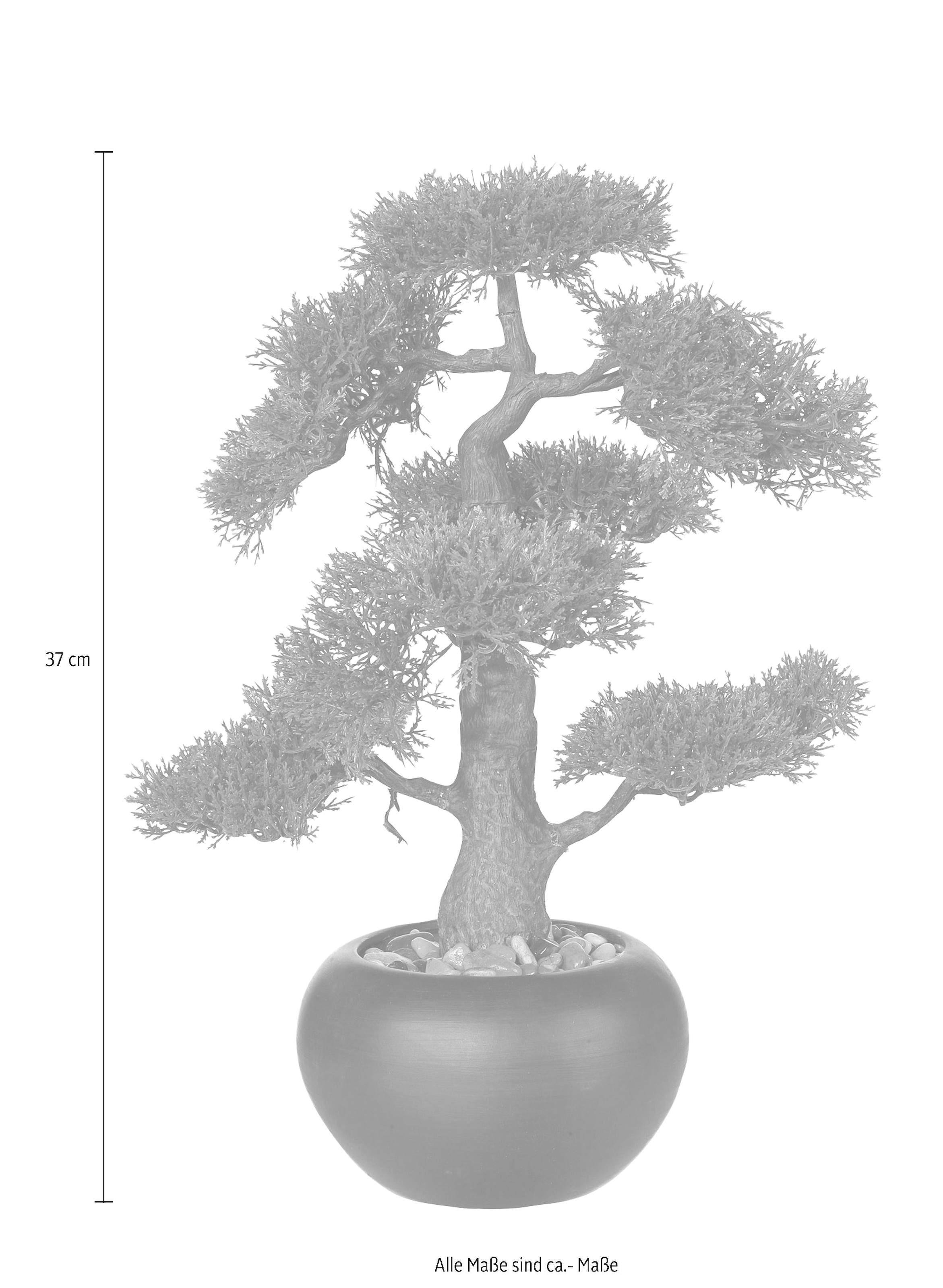 Creativ green Kunstpflanze »Bonsai«