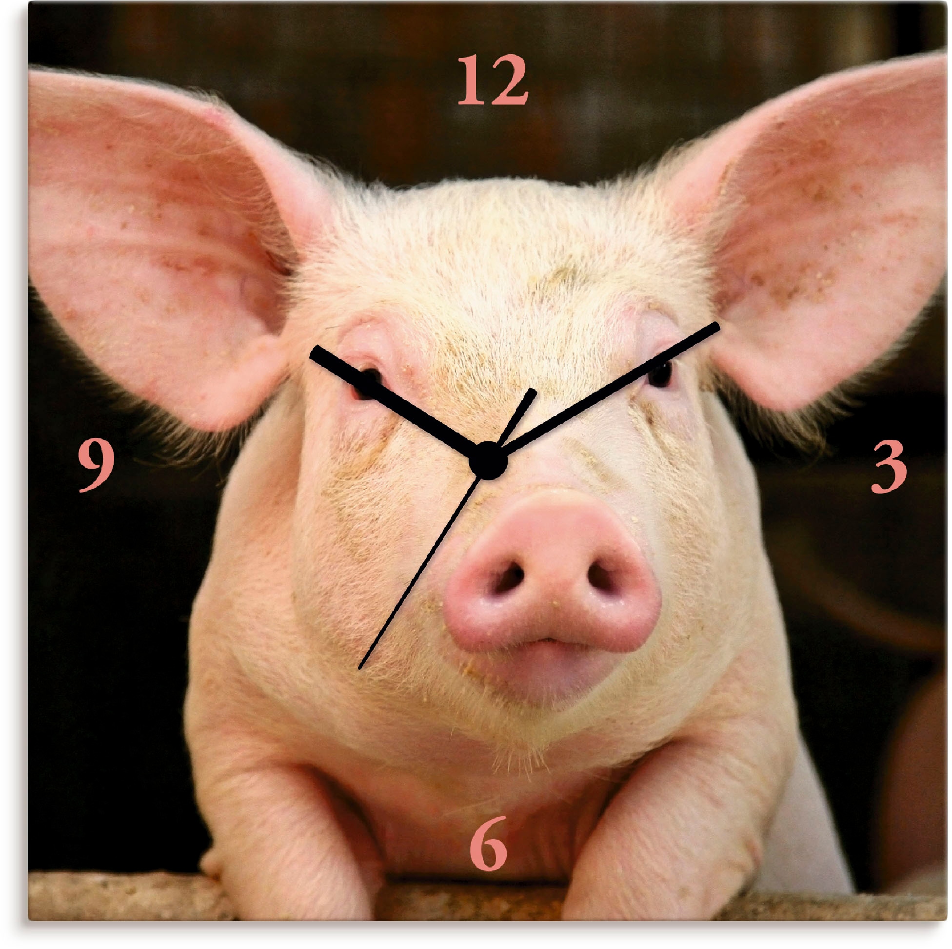 Artland Wanduhr »Vorwitziges Schwein«, wahlweise mit Quarz- oder Funkuhrwerk,  lautlos ohne Tickgeräusche online bestellen | Jelmoli-Versand