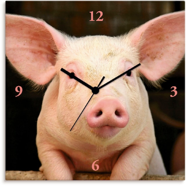 Artland Wanduhr »Vorwitziges Schwein«, wahlweise mit Quarz- oder  Funhuhrwerk, lautlos ohne Tickgeräusche online bestellen | Jelmoli-Versand