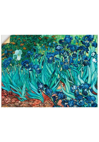 Artland Wandbild »Iris (Schwertlilien). 1889«, Blumen, (1 St.), in vielen Grössen &... kaufen