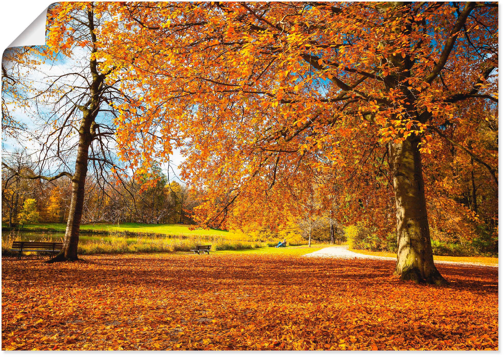 Artland Wandbild »Herbst Jelmoli-Versand Alubild, Poster Grössen (1 bestellen versch. Leinwandbild, Bäume, | in Wandaufkleber St.), Nymphenburg«, bei & Schlosses oder online Wiesen als